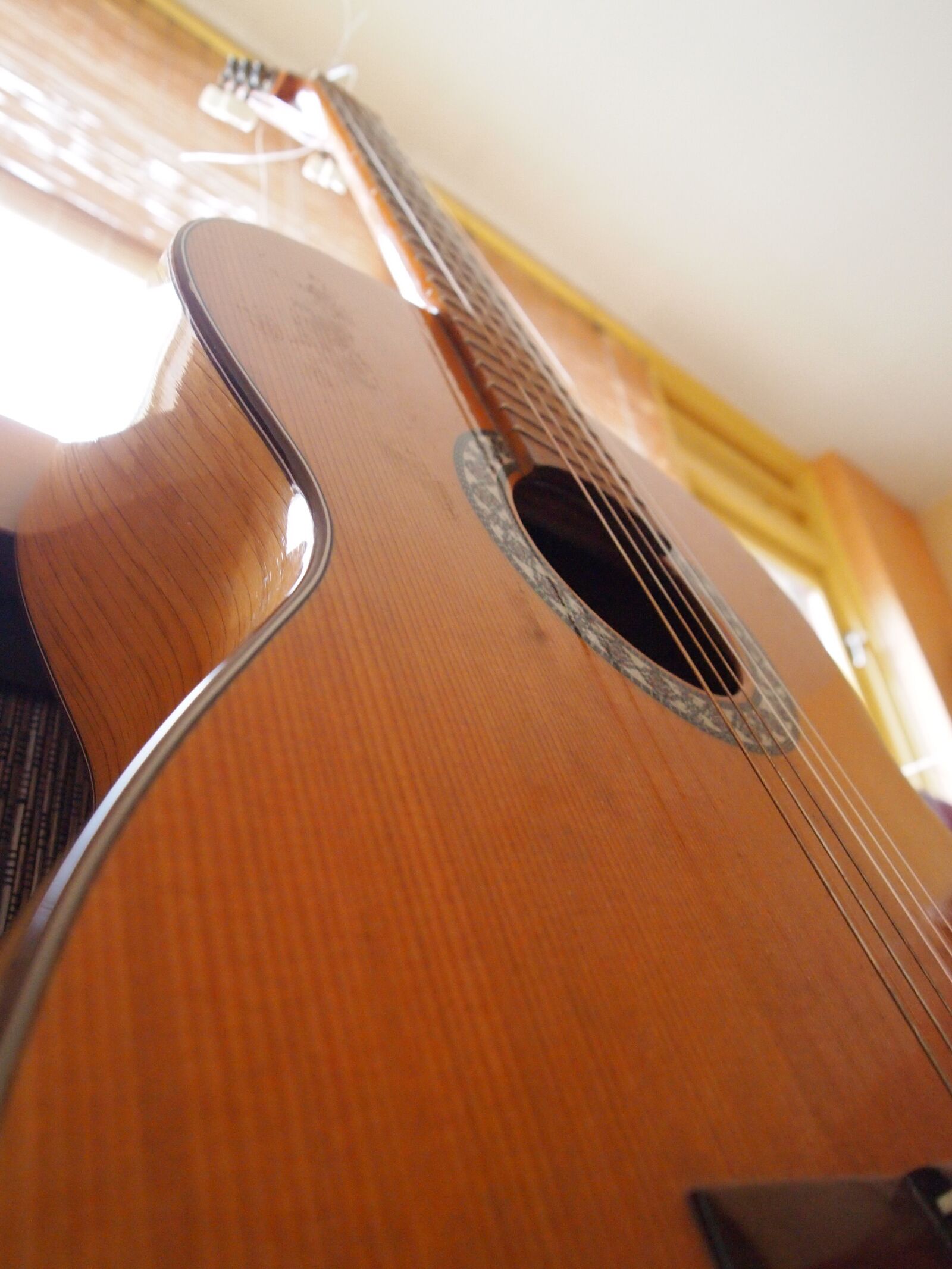 Olympus PEN E-PL1 sample photo. Guitar, instrument, music photography