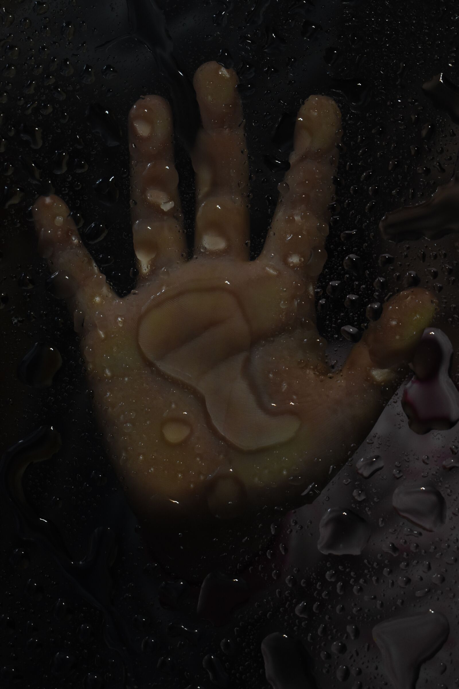 Nikon D3500 sample photo. Hand, water, dark photography