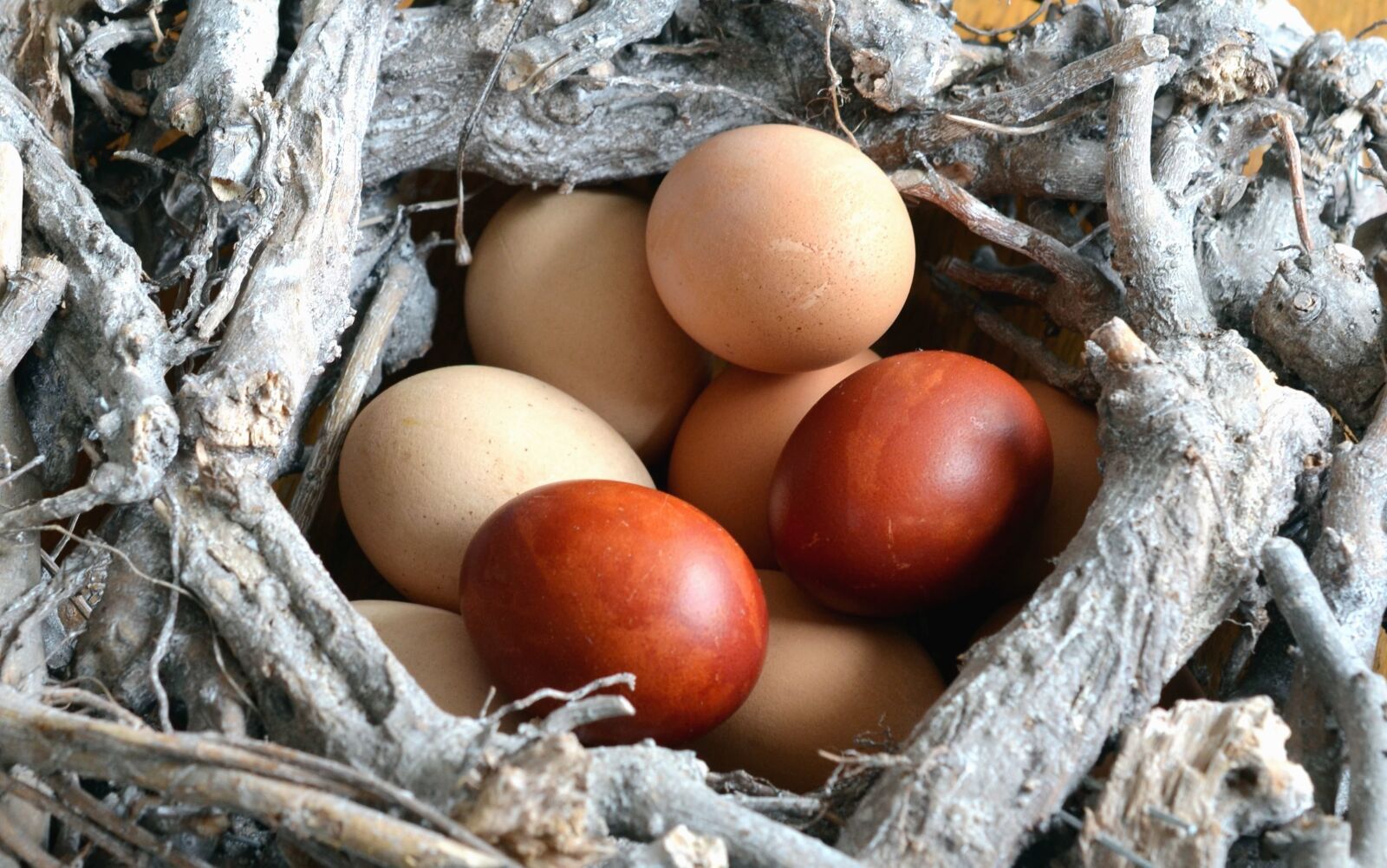Nikon D5100 sample photo. Nest, egg, easter, decoration photography