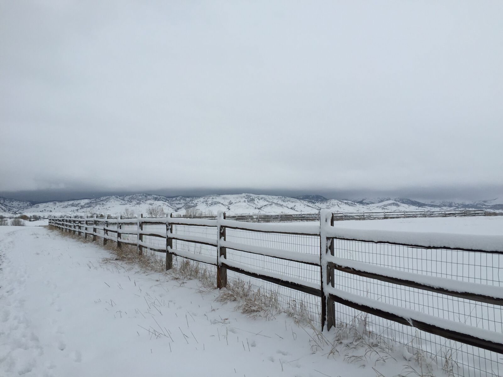 Apple iPhone 6 sample photo. Snow, fence, winter photography