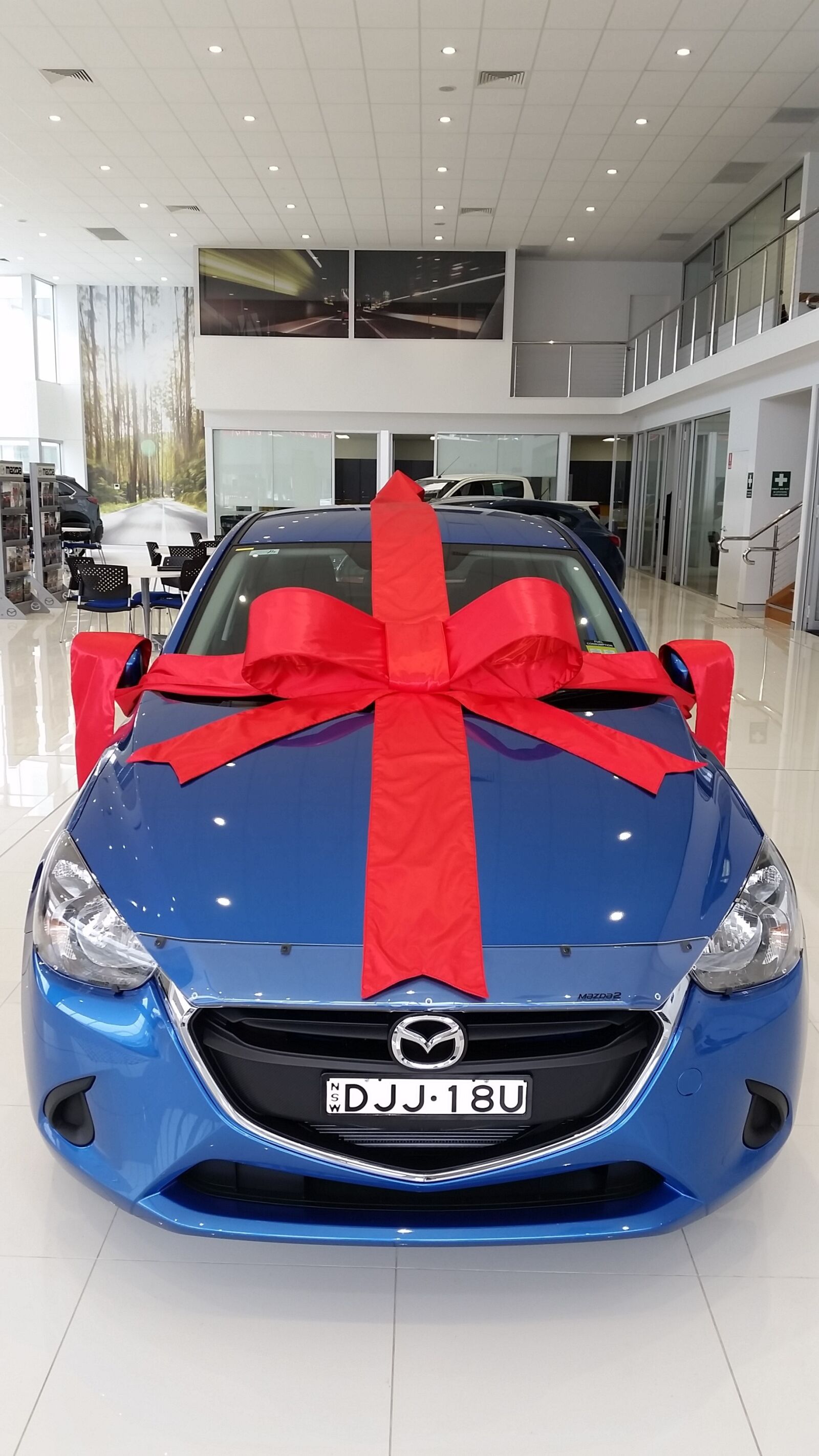 Samsung Galaxy S5 sample photo. Gift, bow, car photography