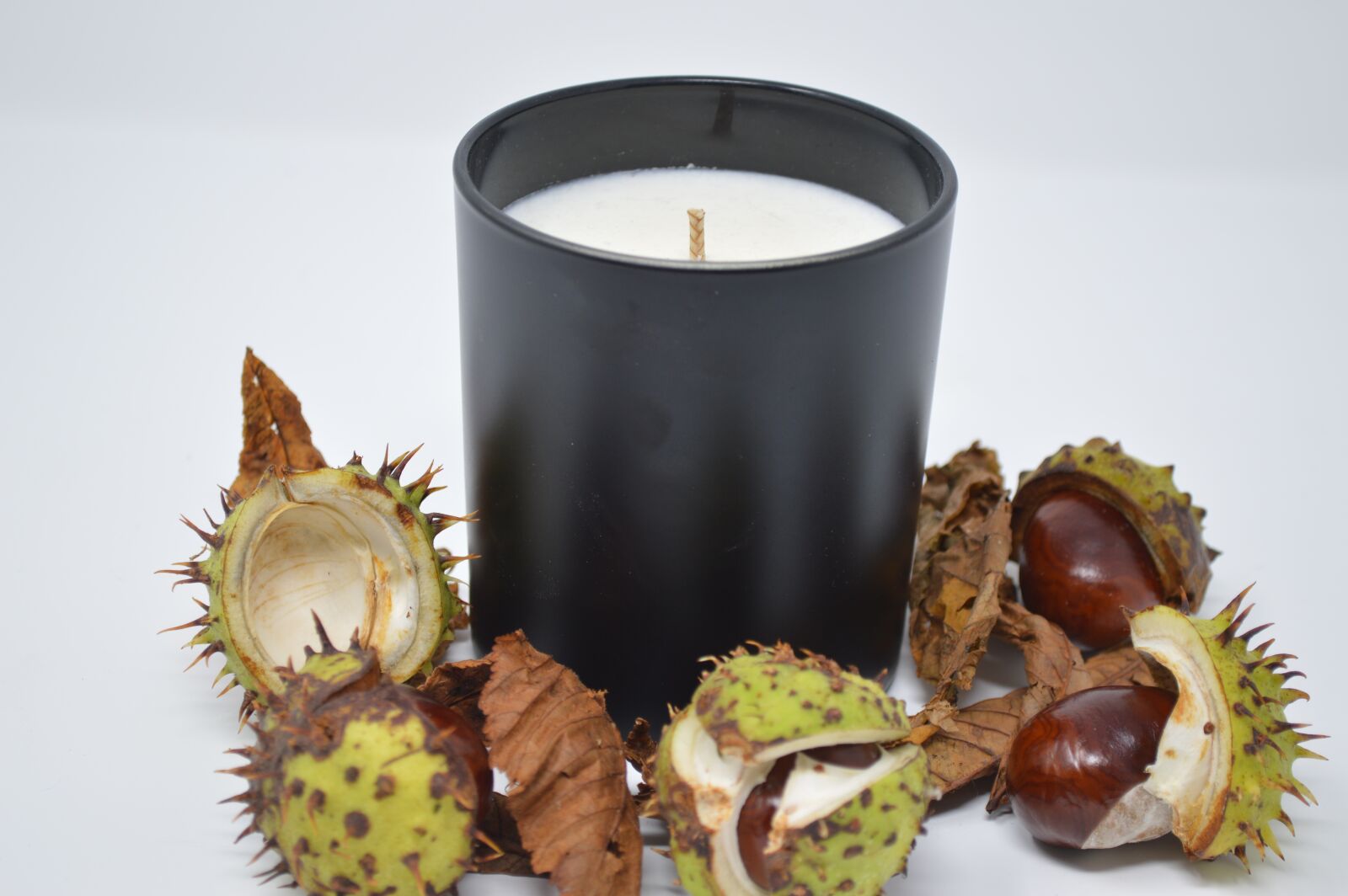 Nikon D3200 sample photo. Conker, conkers, horse chestnut photography