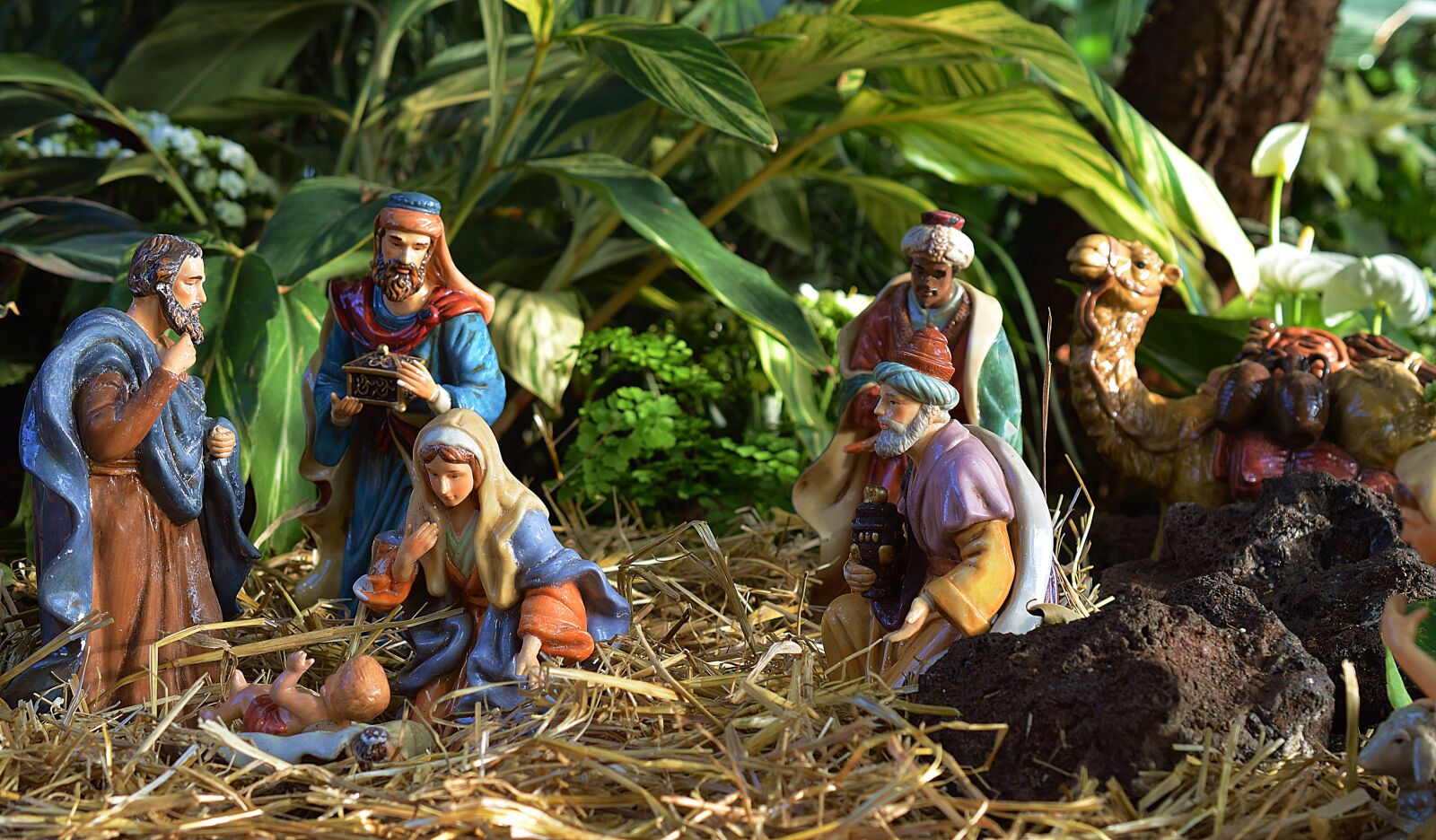 Nikon D3200 sample photo. Nativity, jesus, manger photography