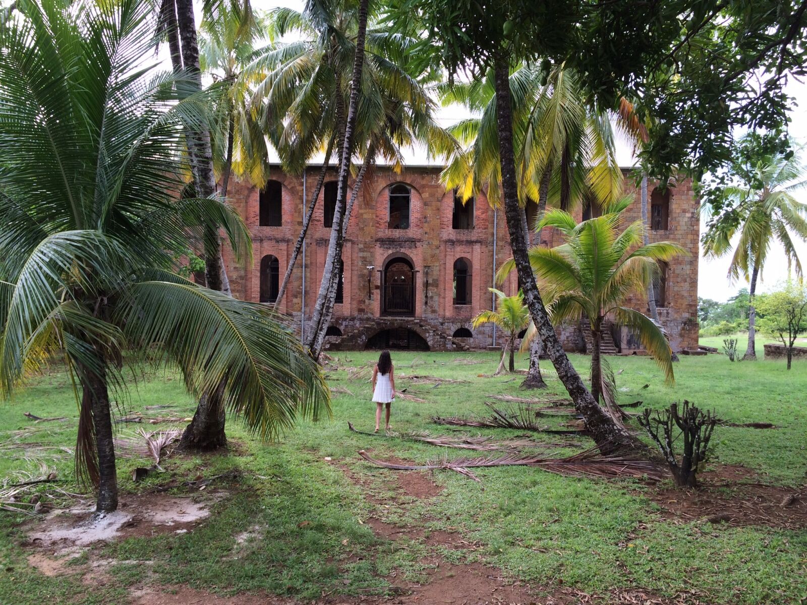 iPhone 5s back camera 4.12mm f/2.2 sample photo. Colonial, jungle, guyana photography