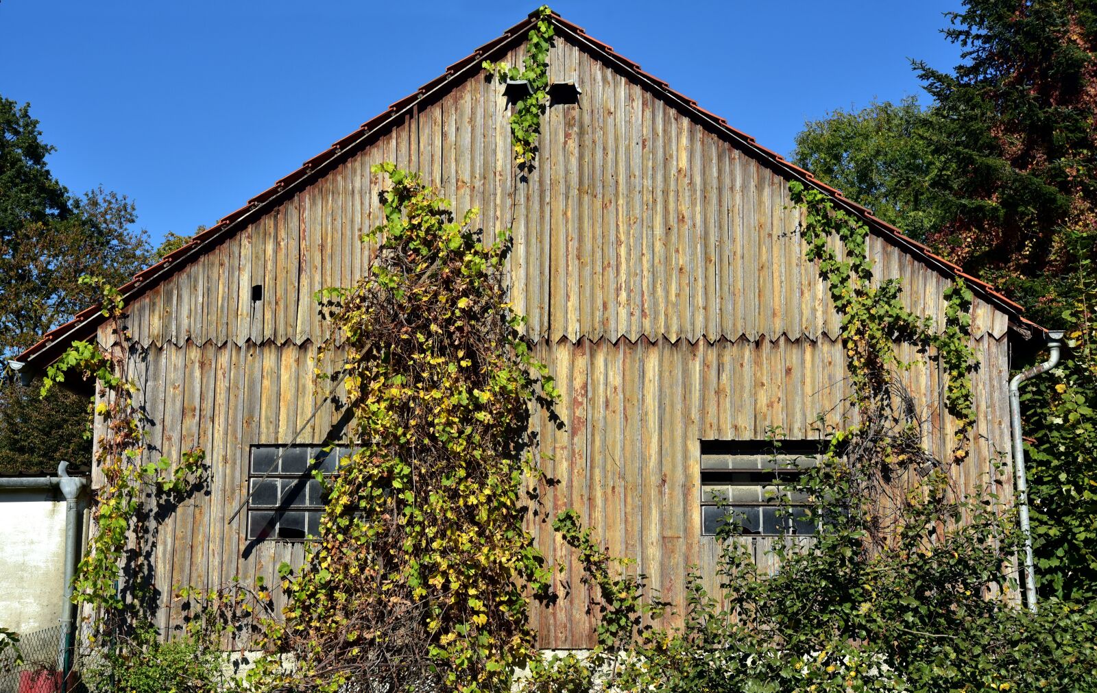 Nikon D750 sample photo. House, woodhouse, barn photography