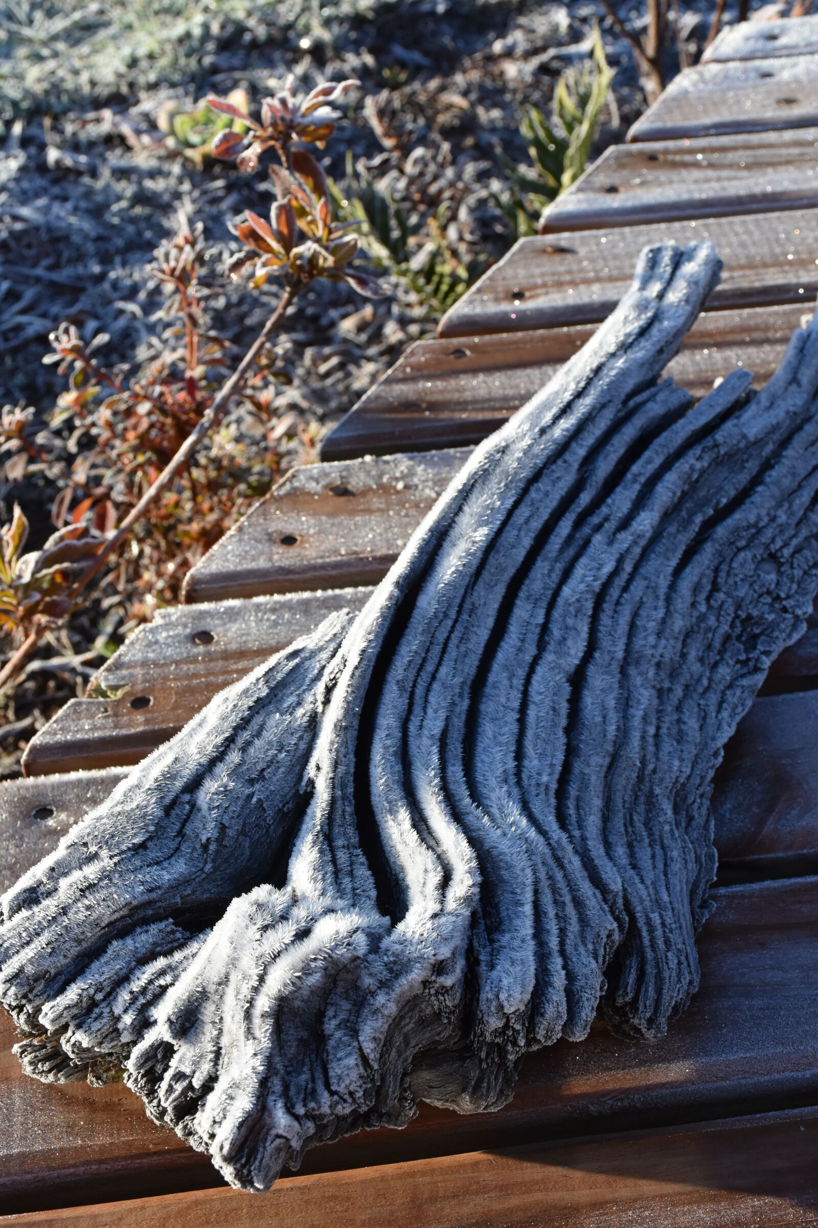 Nikon D7200 sample photo. Snow, winter, chile photography