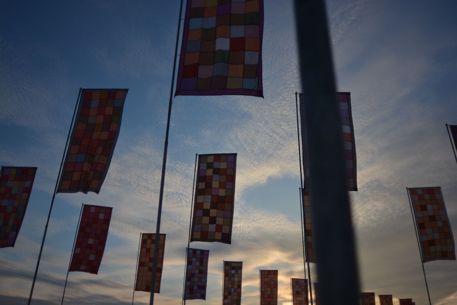 Nikon D7100 sample photo. Flags, sky, dusk photography