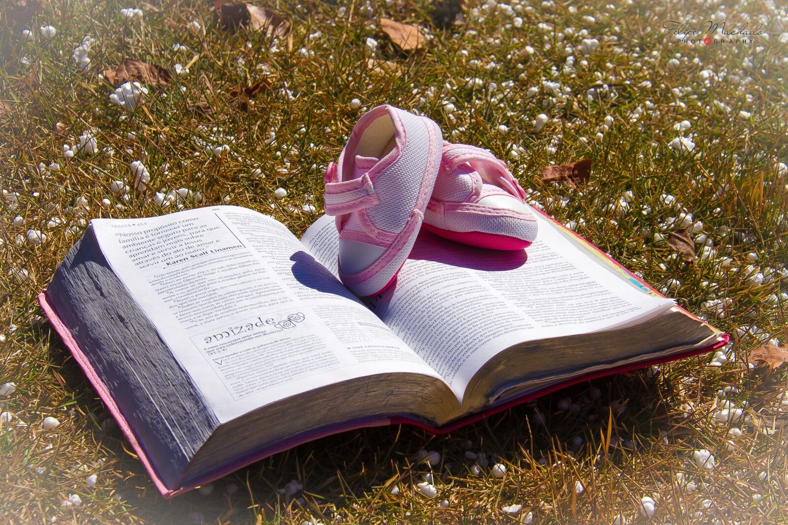 Canon EF-S 18-200mm F3.5-5.6 IS sample photo. Faith, bible, religion photography