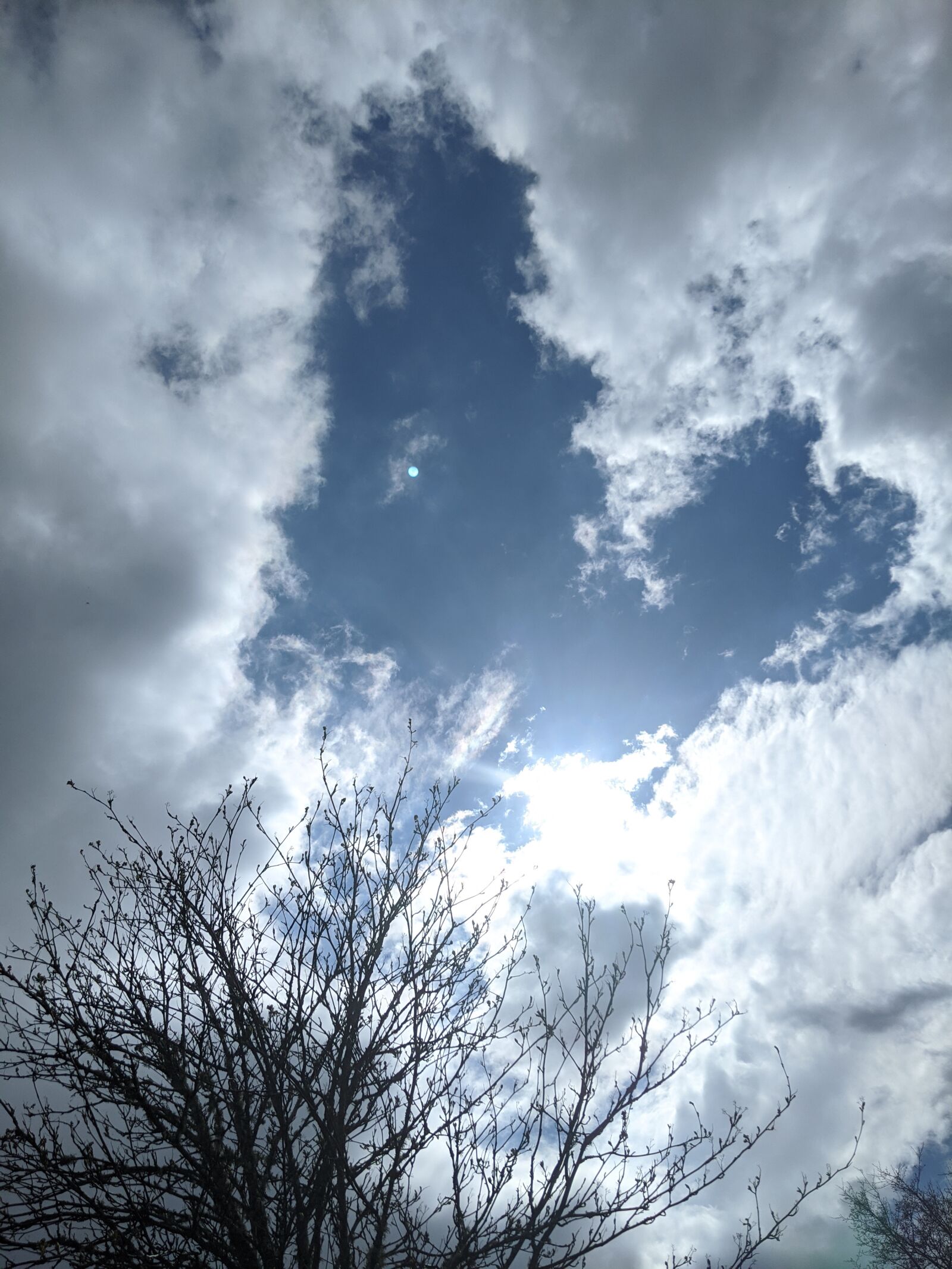 Google Pixel 3 sample photo. Sky, clouds, tree photography
