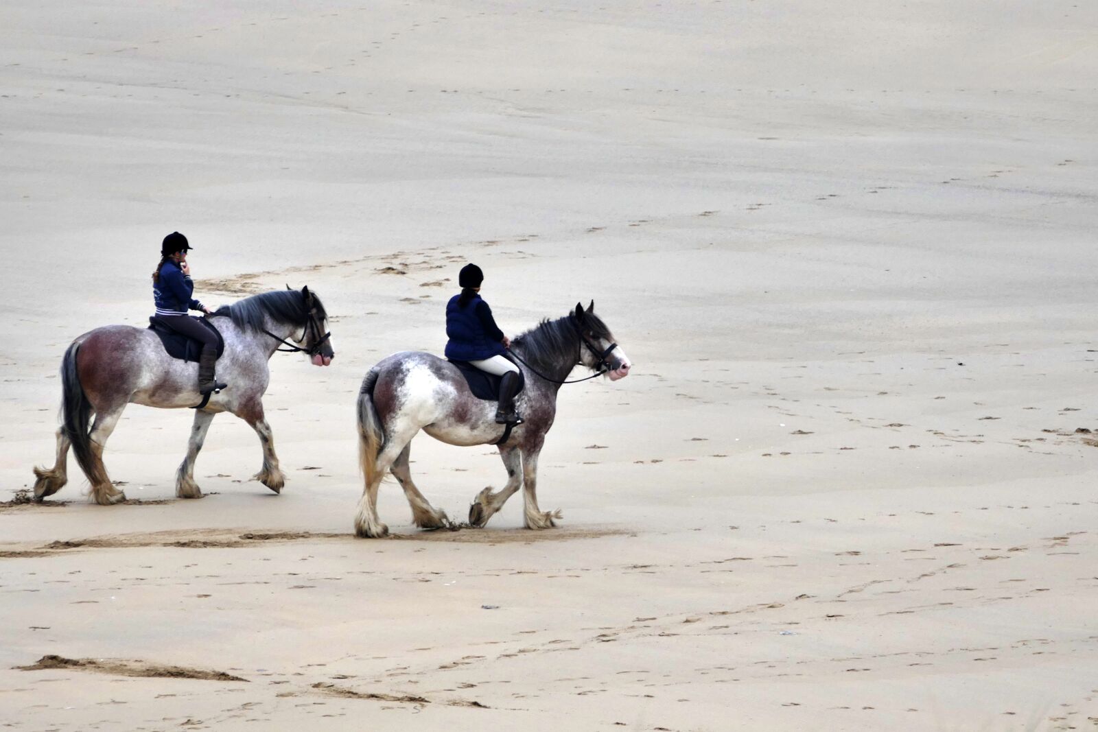 Panasonic Lumix DMC-FZ1000 sample photo. Beach, horses, horse riding photography