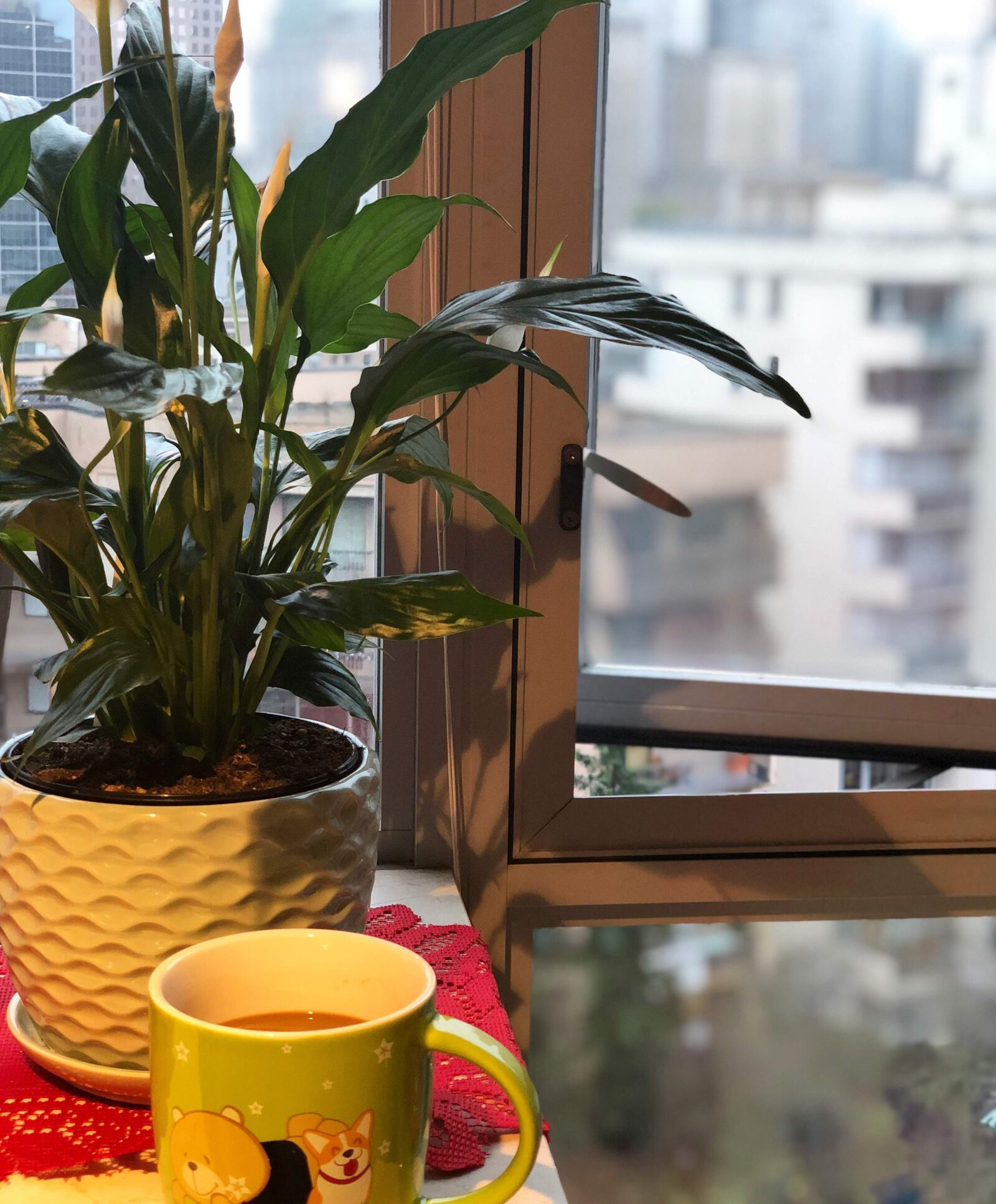 Apple iPhone X sample photo. Peace lily, coffee, window photography