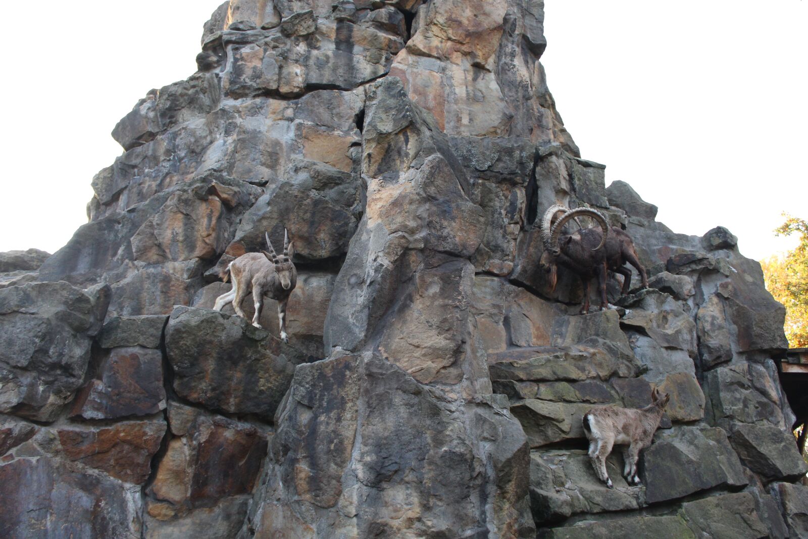 Canon EOS 1200D (EOS Rebel T5 / EOS Kiss X70 / EOS Hi) sample photo. Mountain, hill, rock photography