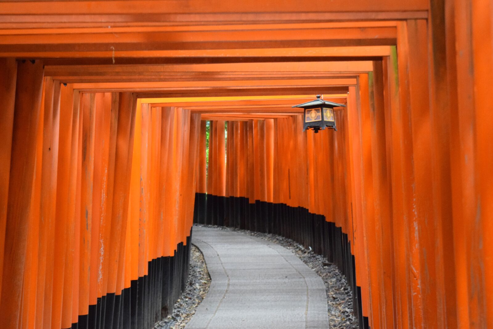Nikon D3300 sample photo. Kyoto, fushimi inari shrine photography