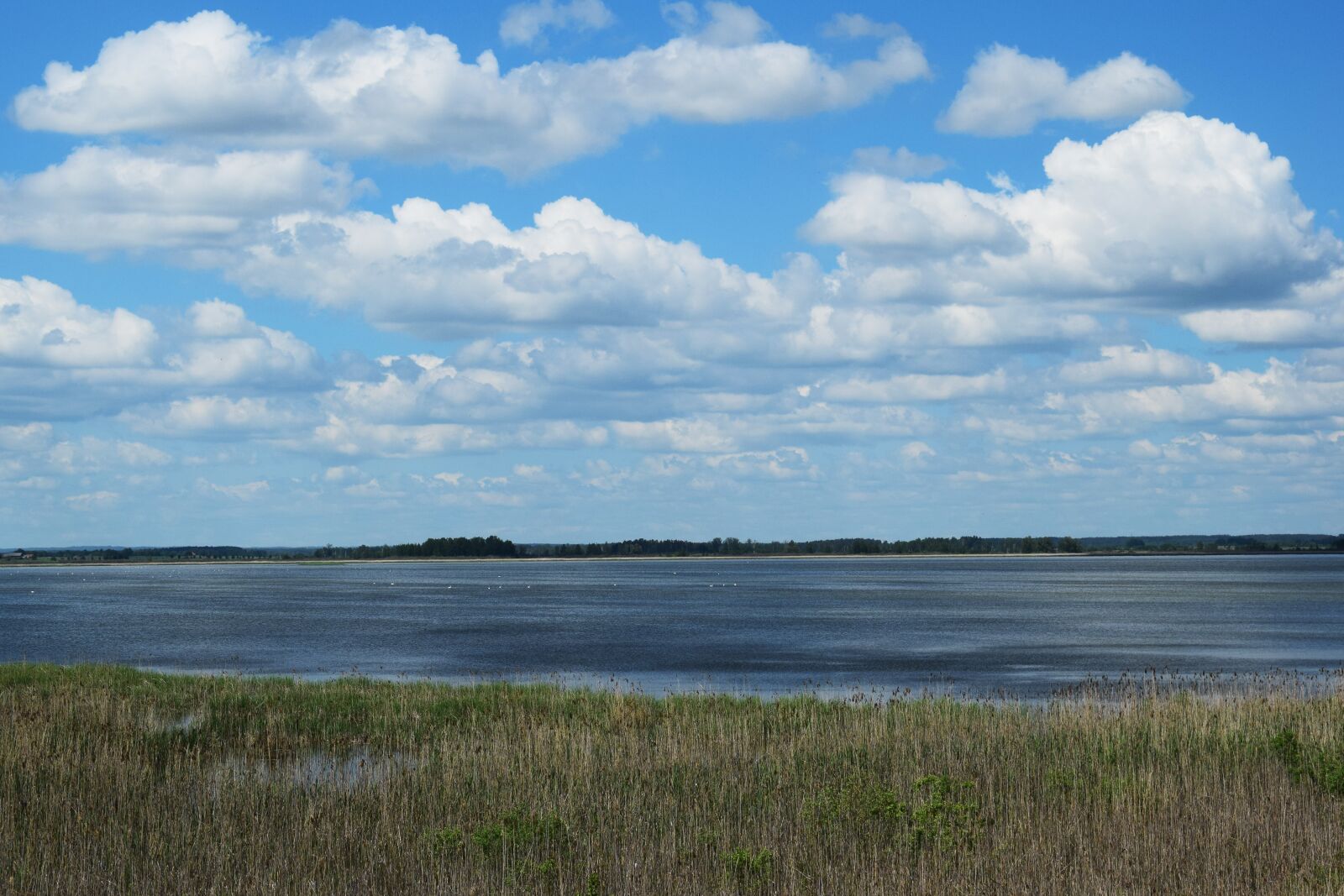 Nikon D5300 sample photo. Sky, clouds, lake photography