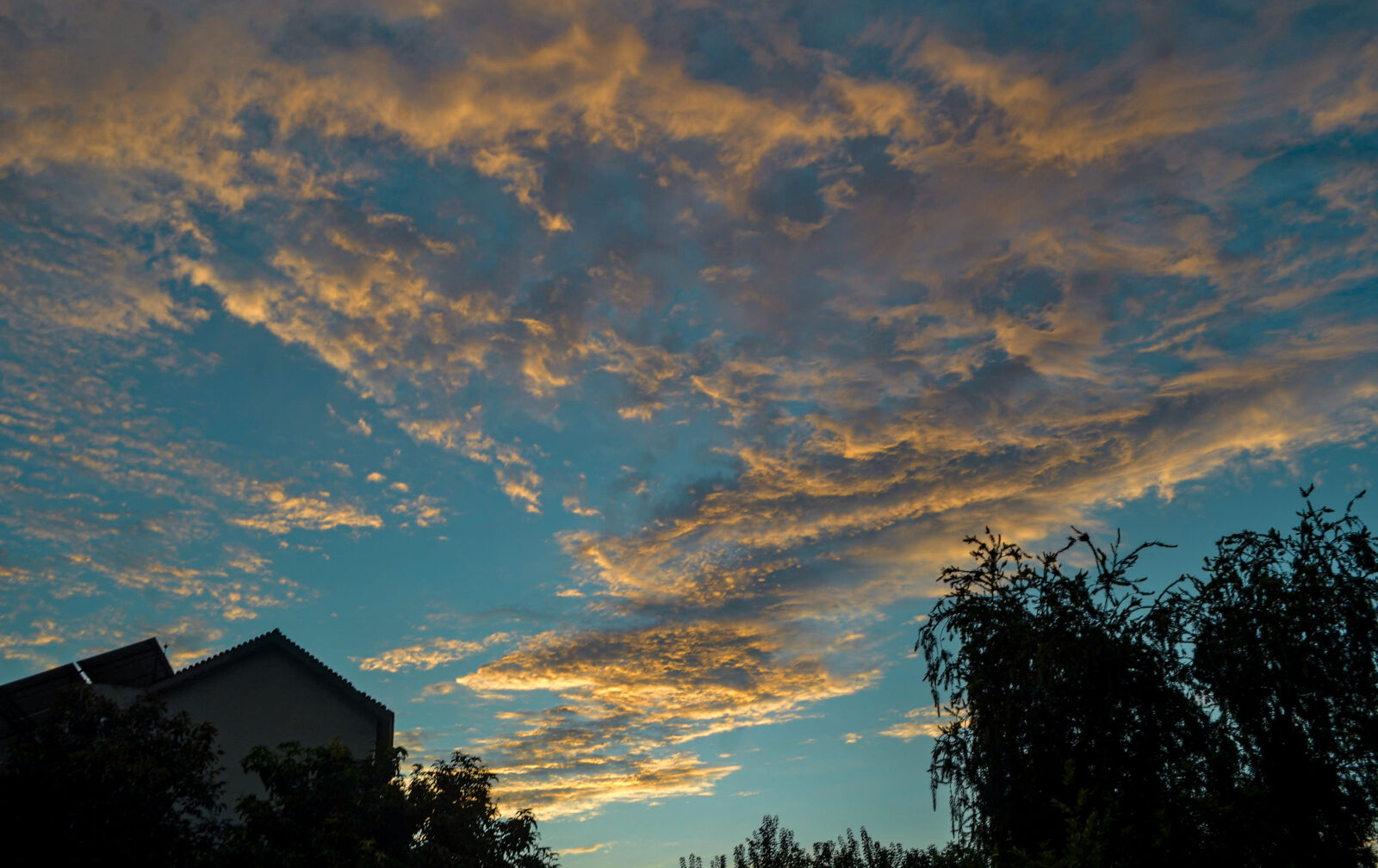 Nikon D3100 sample photo