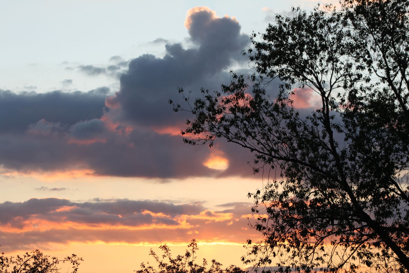 Canon EOS 500D (EOS Rebel T1i / EOS Kiss X3) sample photo. Evening, sunset, clouds photography