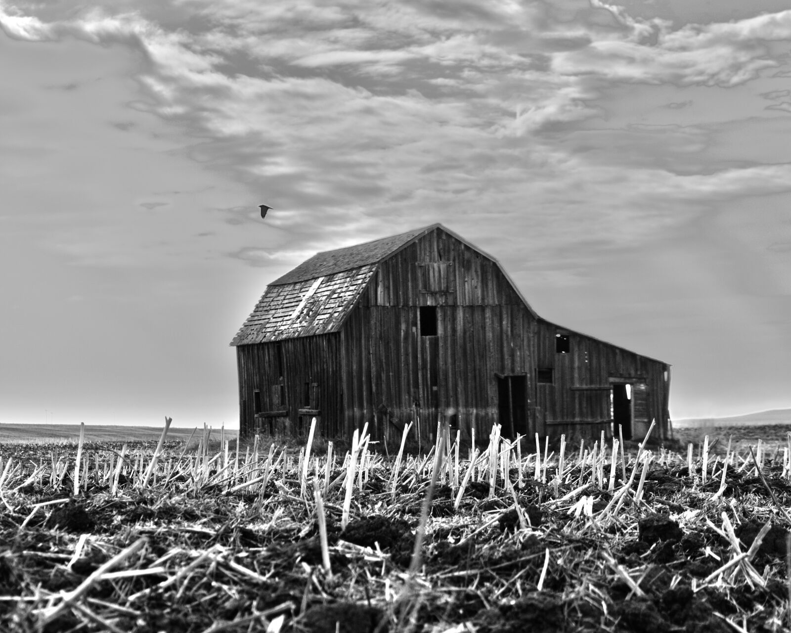 Nikon D5100 sample photo. Barn, field, farm photography