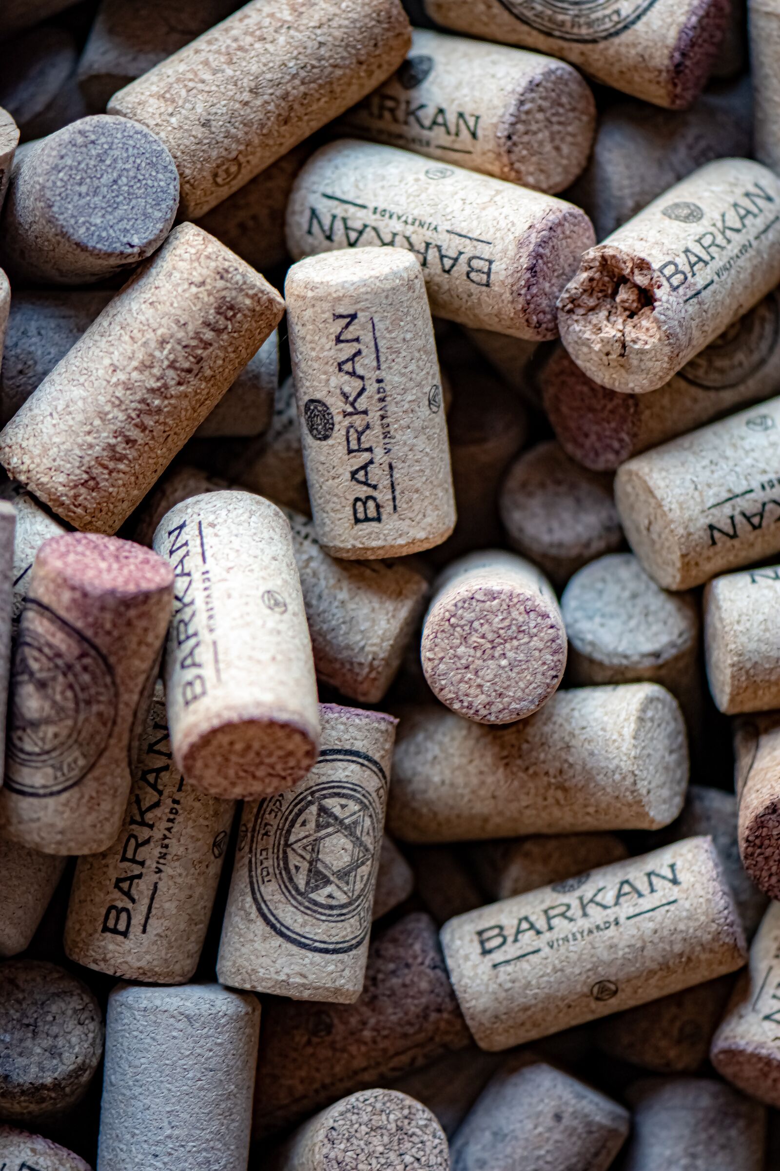 Nikon D5600 sample photo. Cork, wine, texture photography