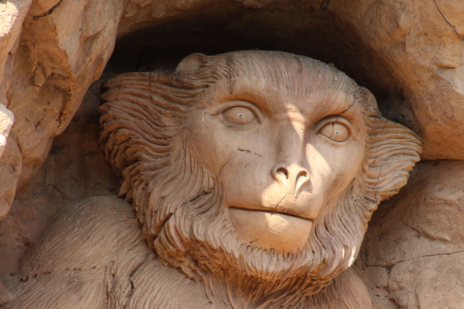 Canon EOS 7D Mark II sample photo. Africa, brown, monkey, statue photography