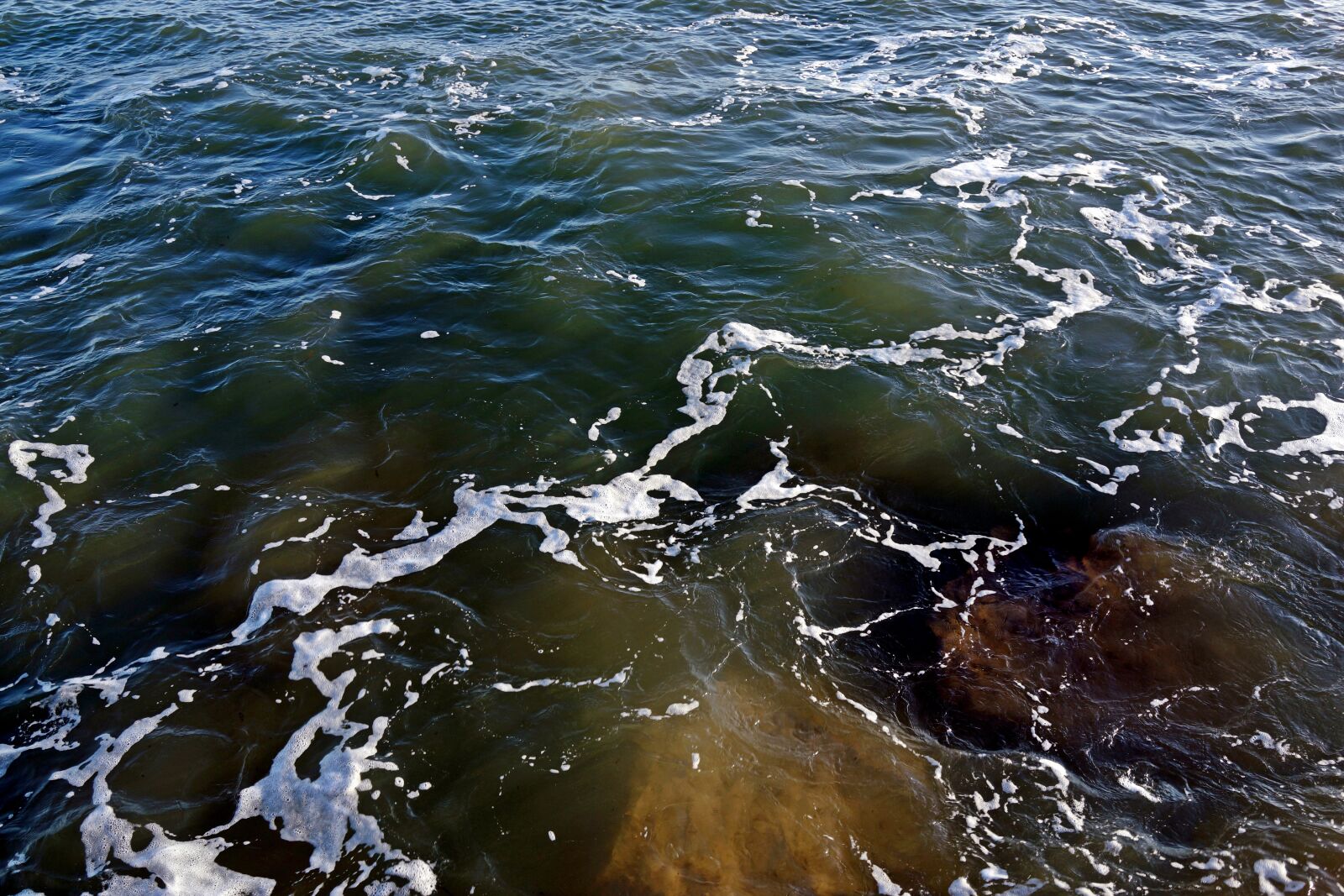 Sony Cyber-shot DSC-RX1 sample photo. Water, rio, tagus river photography