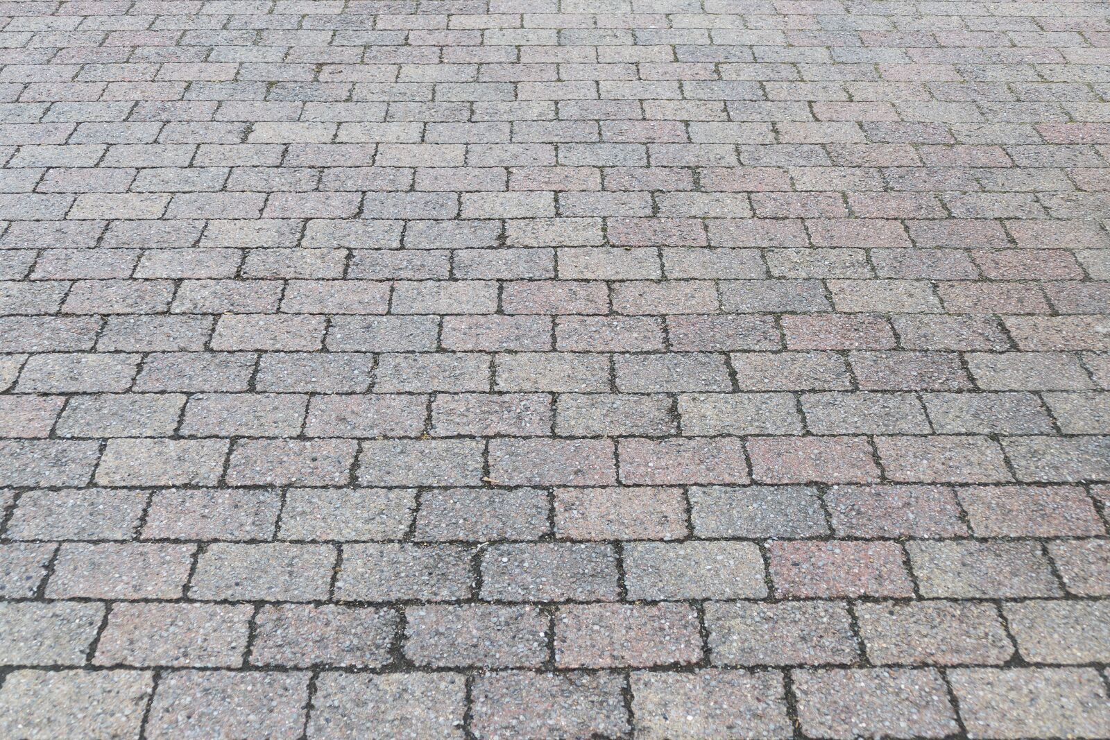 Panasonic Lumix DMC-FZ1000 sample photo. Patch, flooring, paving stones photography