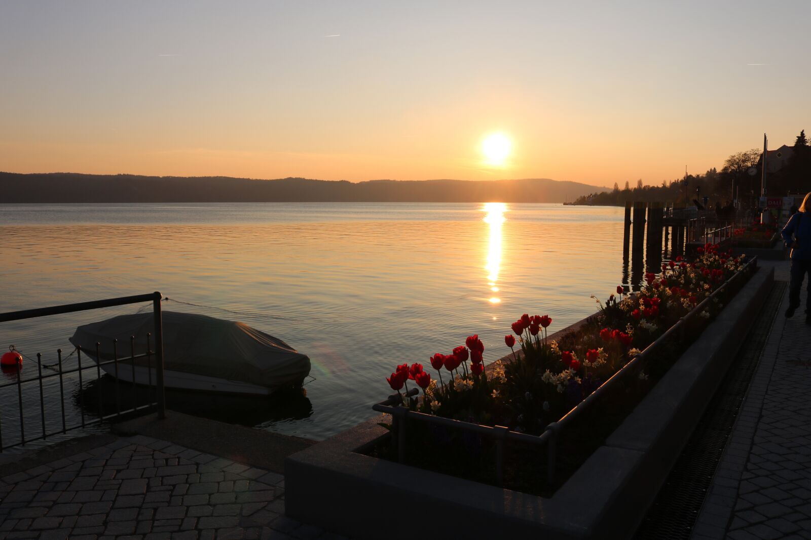 Canon EOS 750D (EOS Rebel T6i / EOS Kiss X8i) sample photo. Lake constance, alone, lake photography