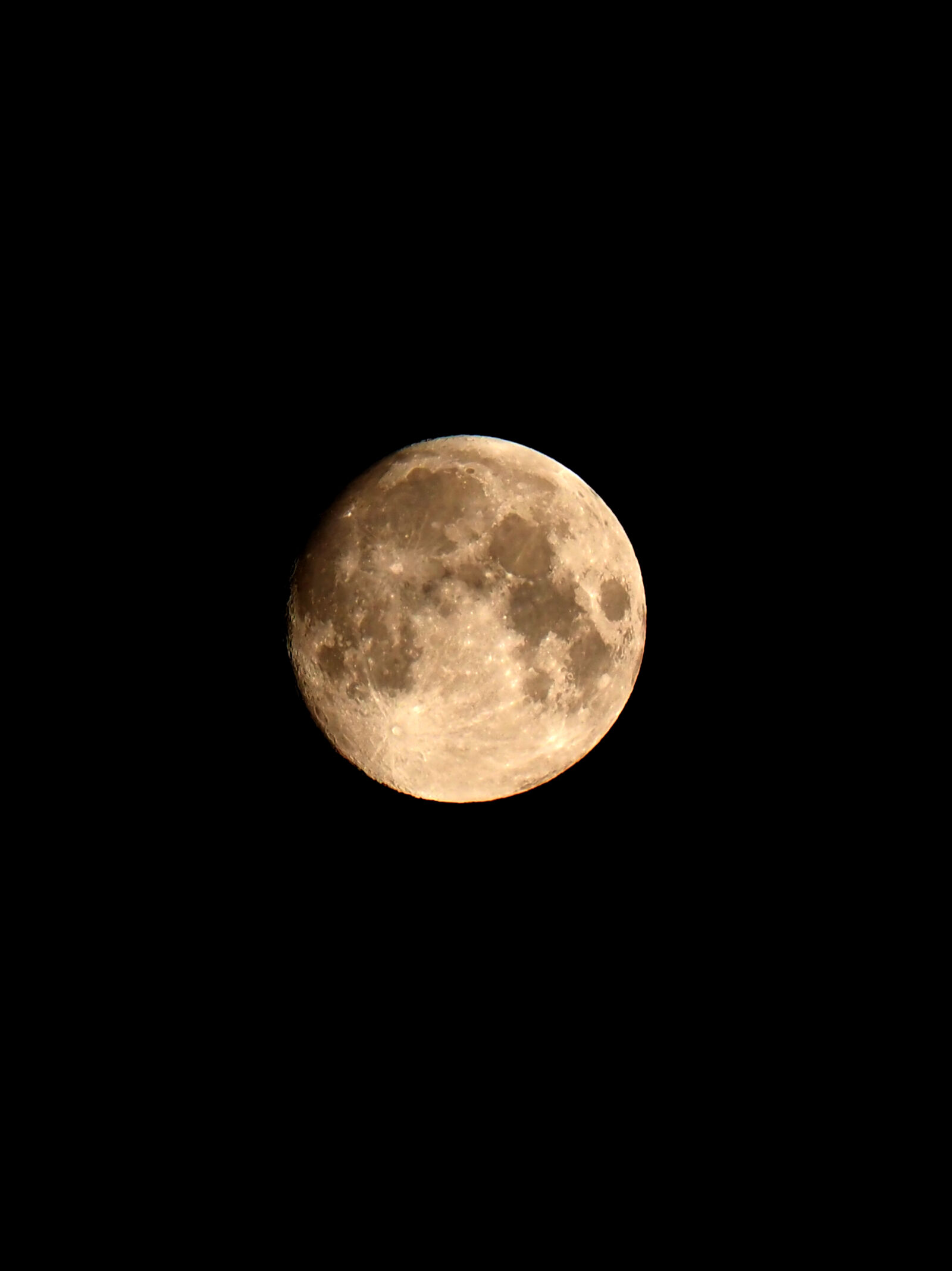 Olympus OM-D E-M1X sample photo