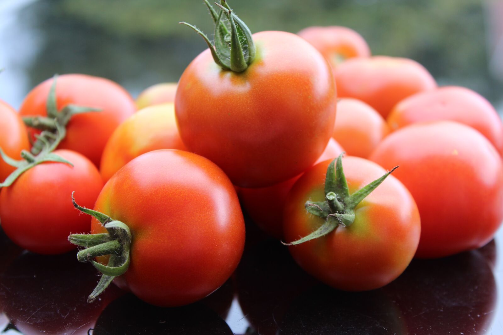 Canon EOS 1200D (EOS Rebel T5 / EOS Kiss X70 / EOS Hi) sample photo. Tomatoes, tomato harvest, red photography