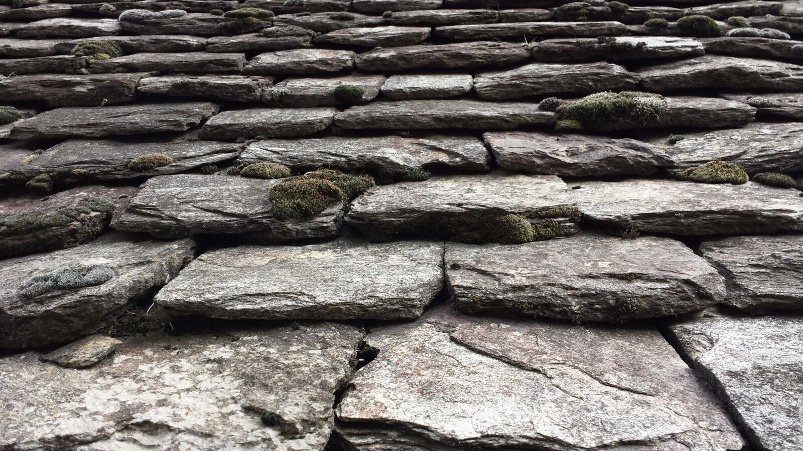 Samsung Galaxy S4 sample photo. Roof, lee, castle photography