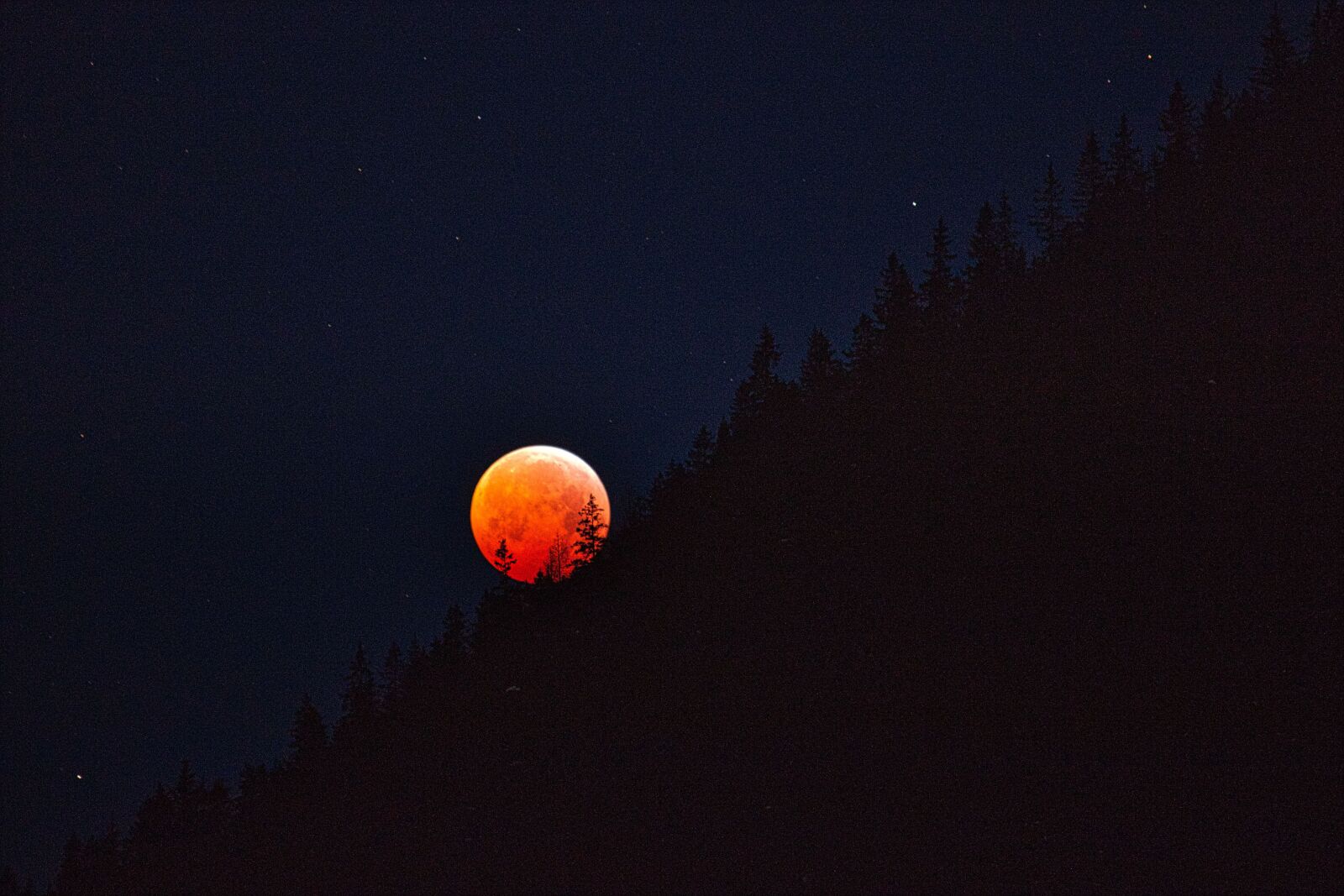Canon EF-S 55-250mm F4-5.6 IS STM sample photo. Blood moon, moon, lunar photography