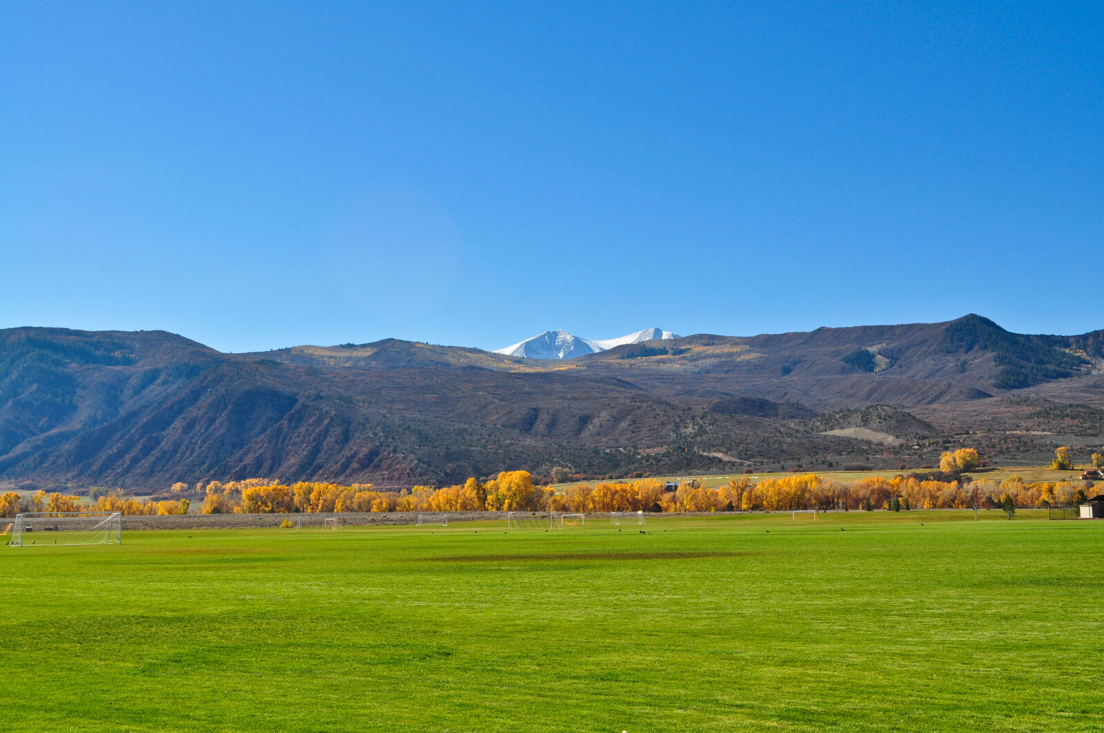 Nikon D5000 sample photo. Blue, green, green, park photography