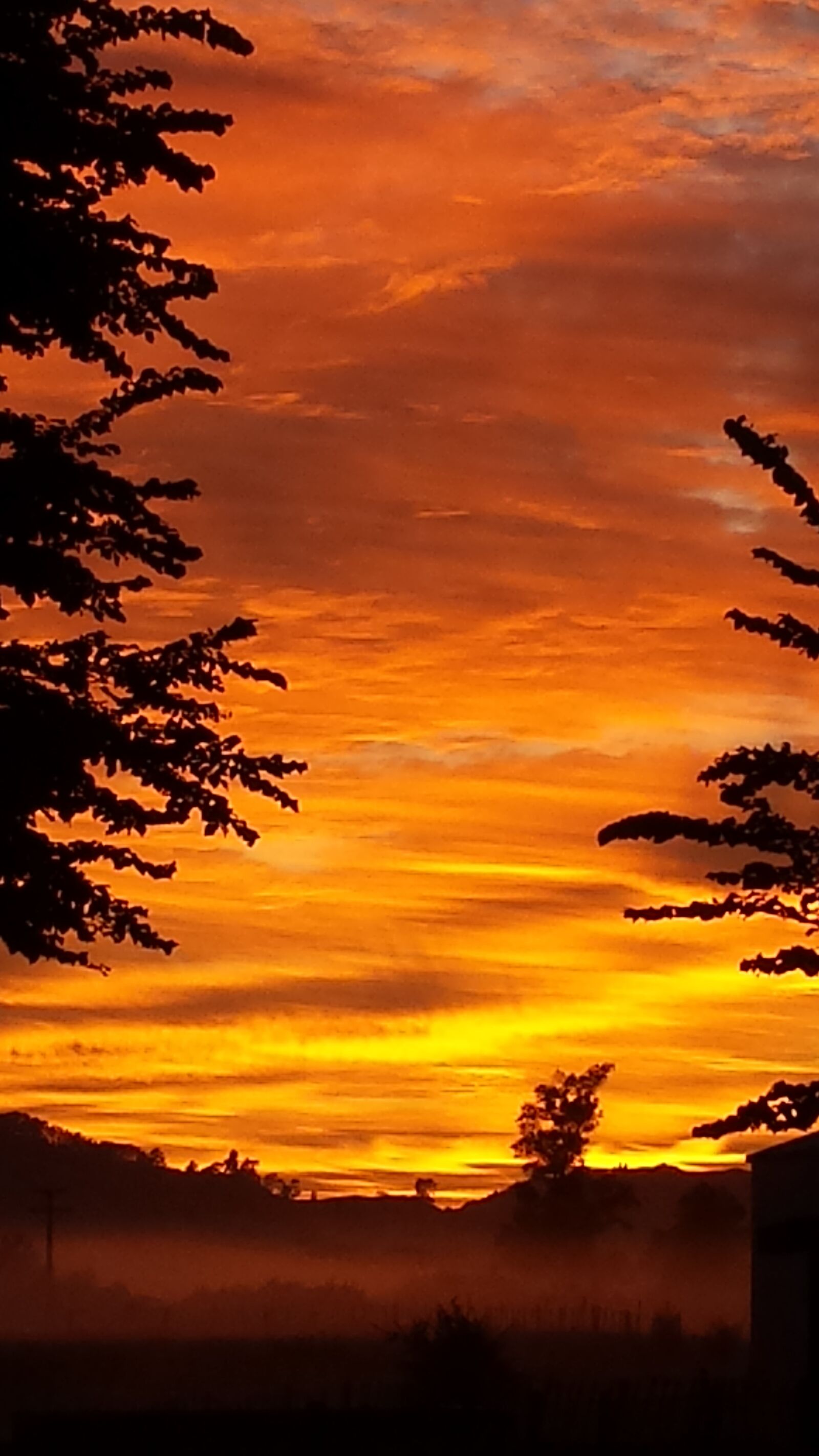 Samsung Galaxy S4 sample photo