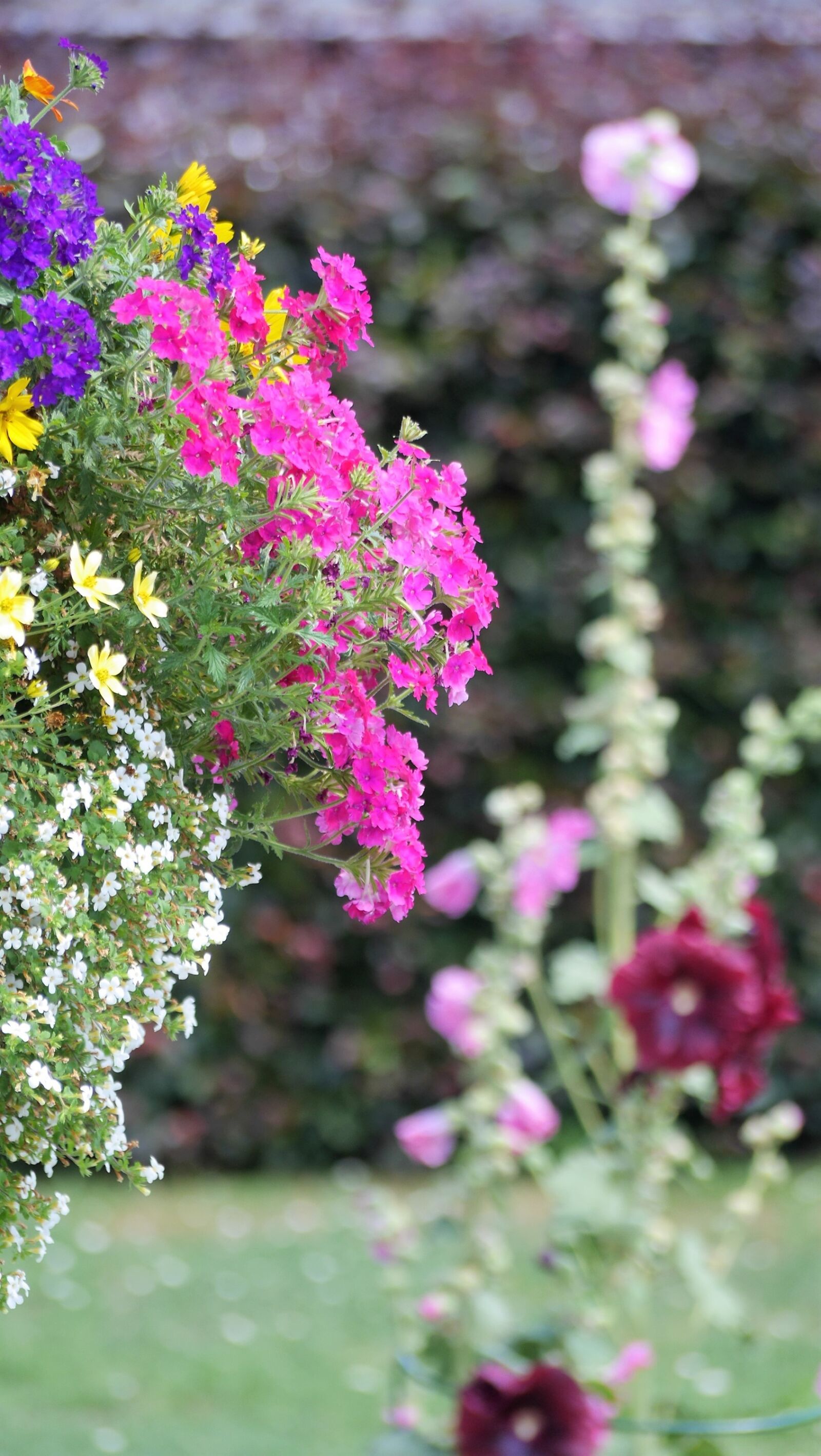Panasonic Lumix DMC-GH3 sample photo. Hanging basket, garden, nature photography