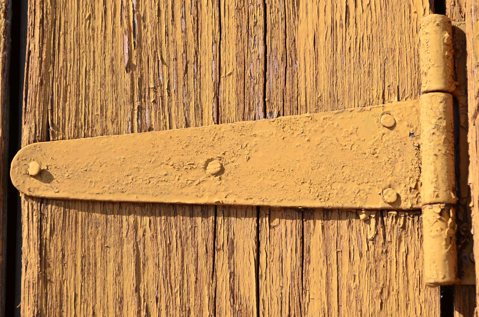 Nikon D5100 sample photo. Door hinges, old door photography