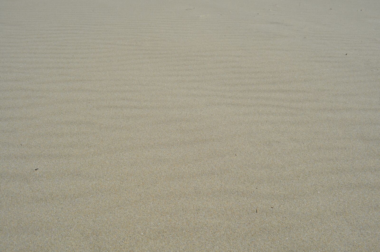 Nikon D5100 sample photo. Sand, waves, wind photography
