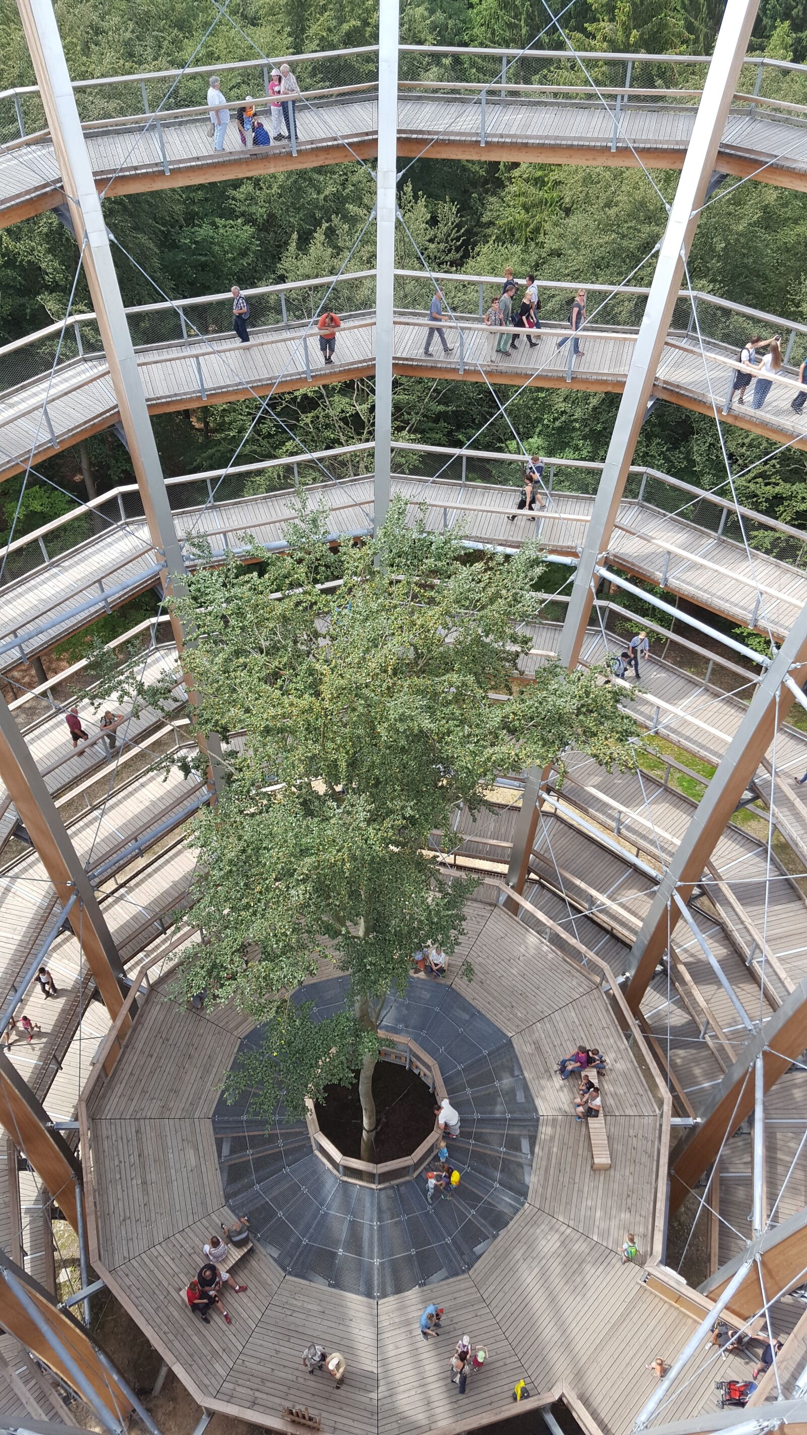 Samsung GALAXY S6 edge sample photo. Spiral staircase, treetop path photography