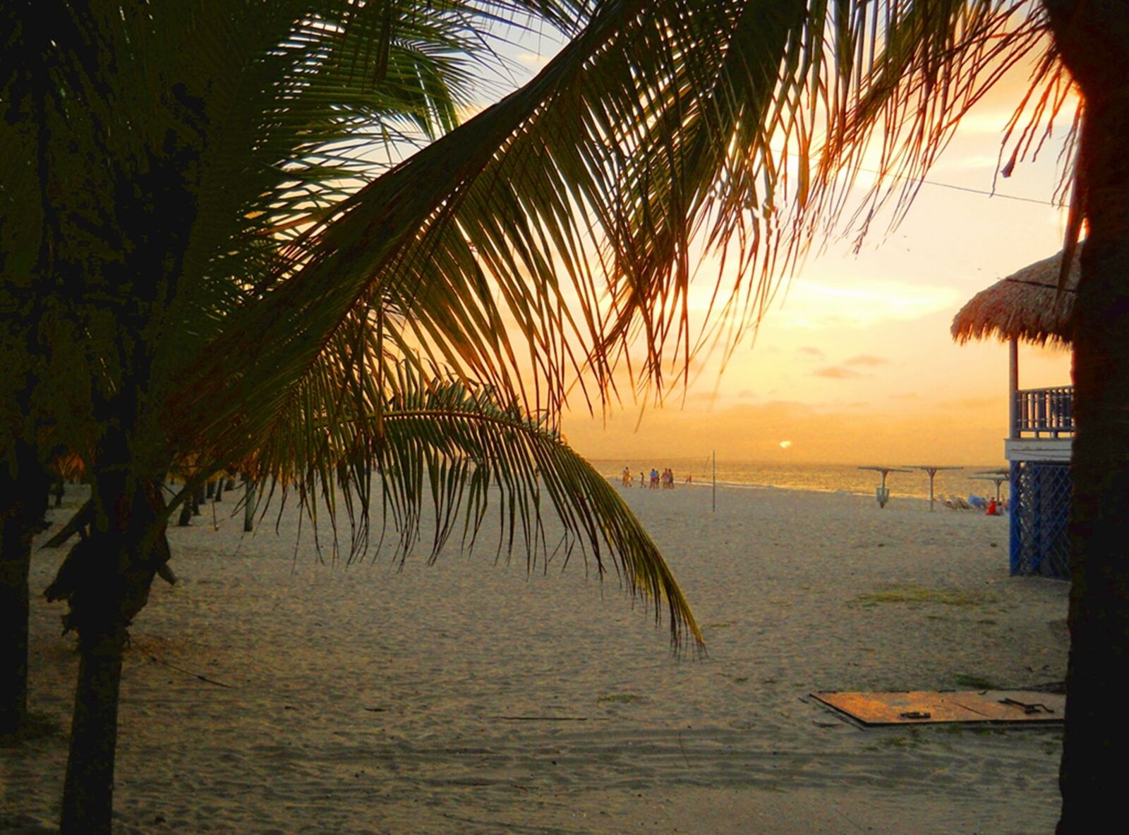 Nikon Coolpix L22 sample photo. Beach, ocean, palm, sunset photography