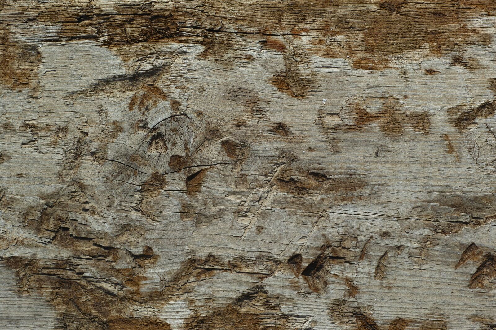 Sigma DP3 Merrill sample photo. Wood-fibre boards, texture, copy photography