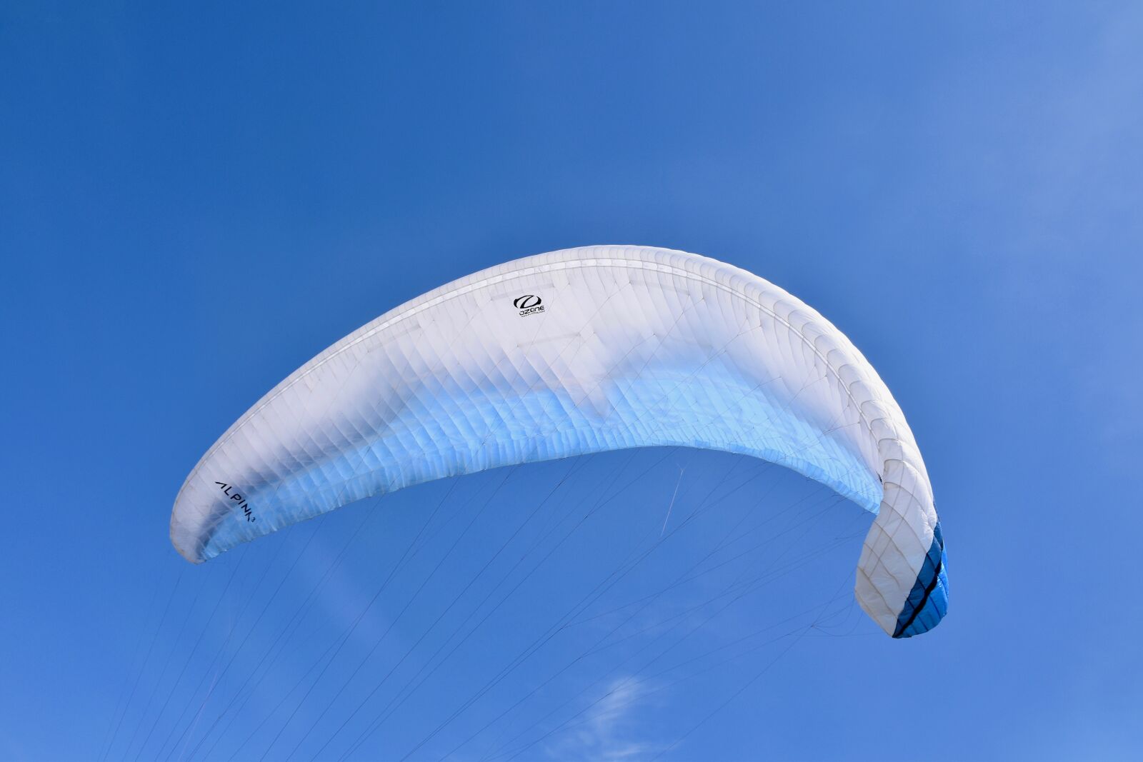 Nikon D5600 sample photo. Paragliding, paraglider wing, paraglider photography