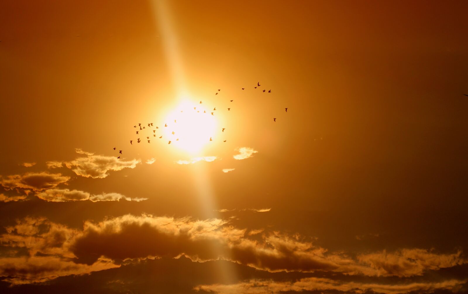 Canon EOS 700D (EOS Rebel T5i / EOS Kiss X7i) + Canon EF 85mm F1.8 USM sample photo. Sunset, birds, cloud photography