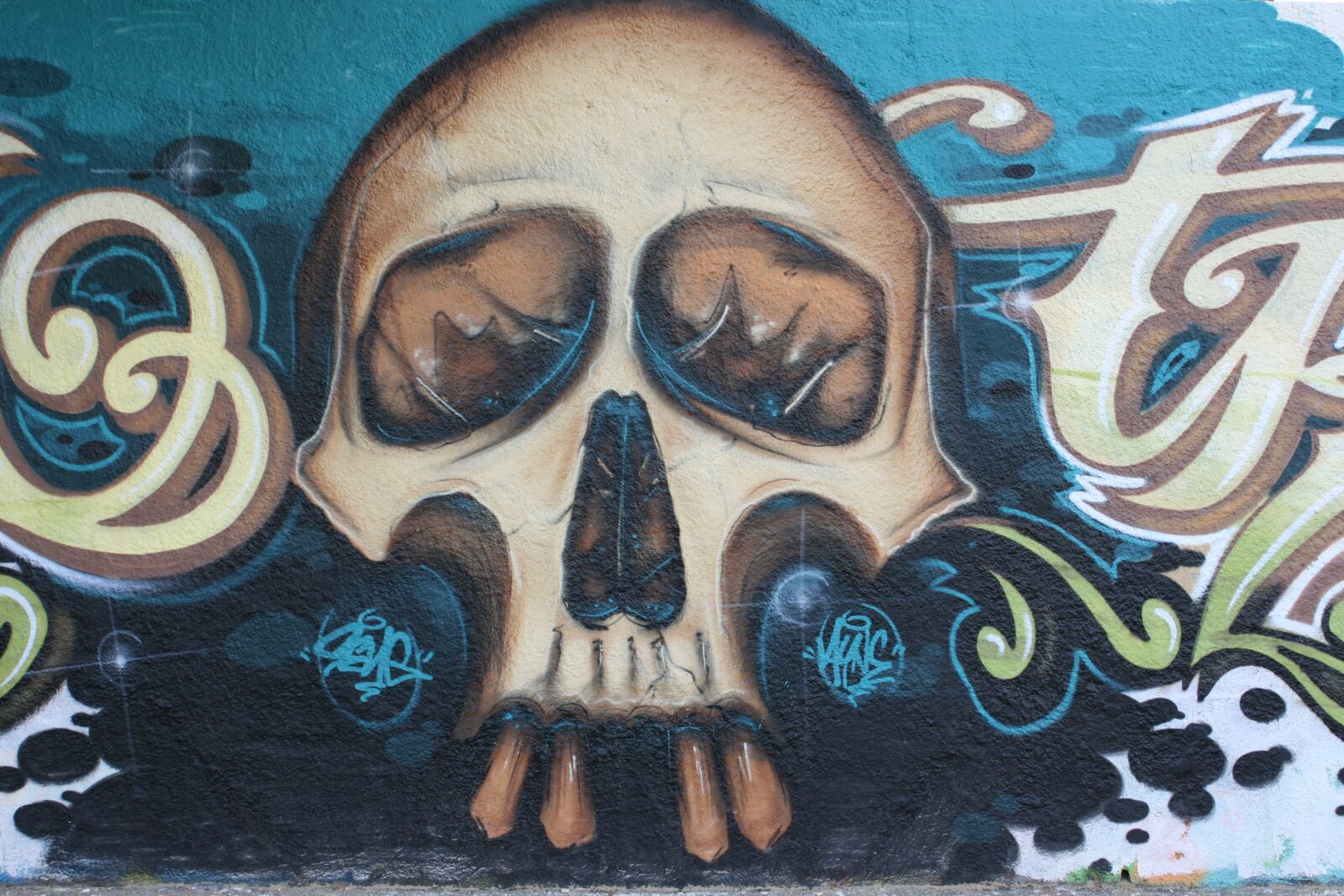 Canon EOS 400D (EOS Digital Rebel XTi / EOS Kiss Digital X) sample photo. Skull, graphics, painting photography