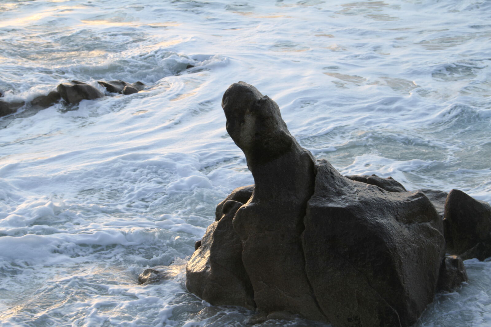 Canon EOS 7D sample photo