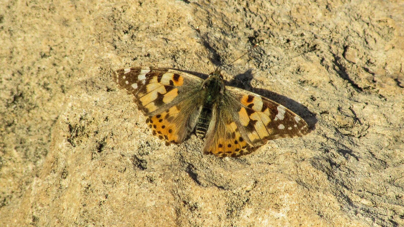 Canon PowerShot SX400 IS sample photo. Cyprus, cavo greko, national photography
