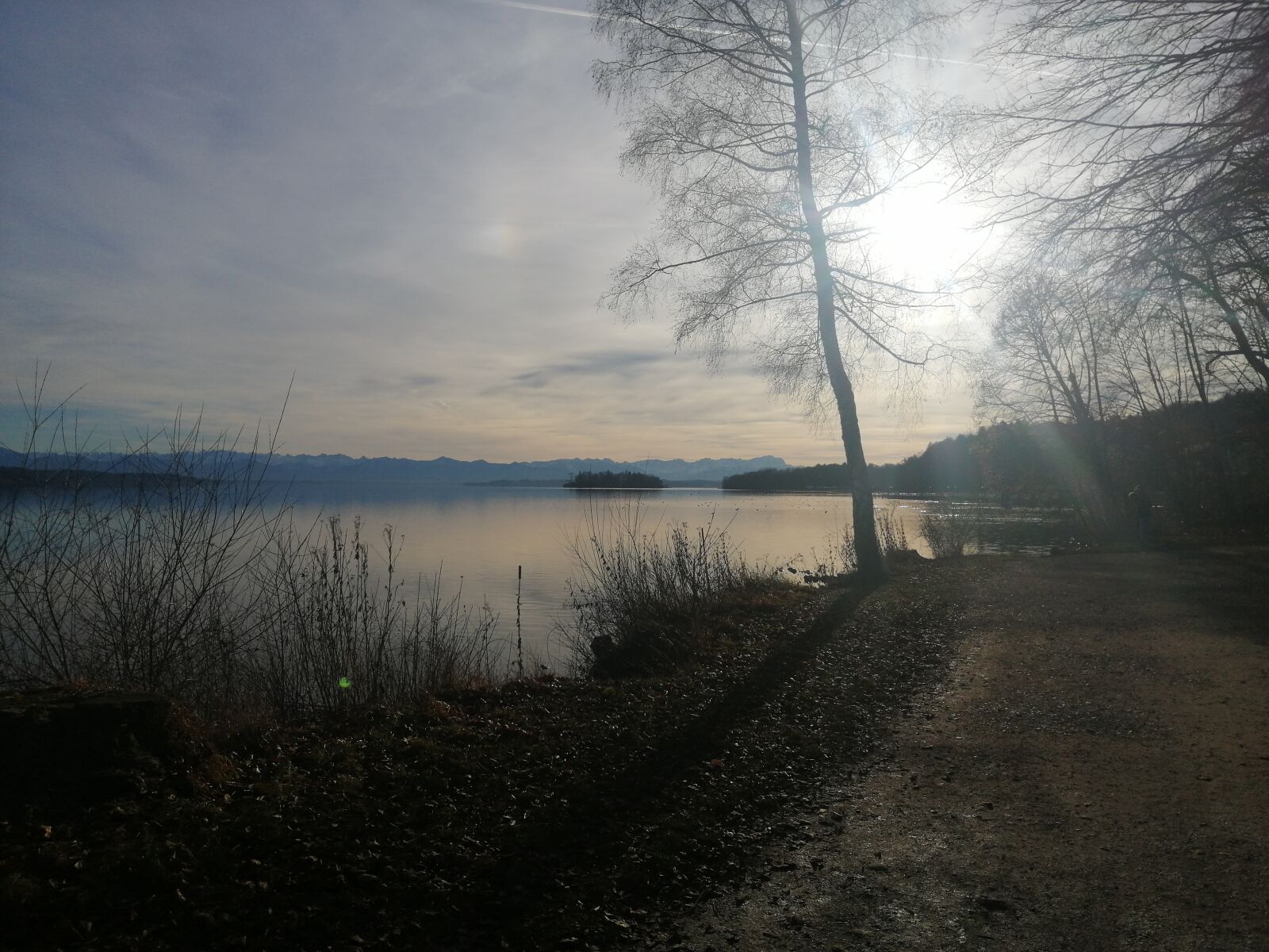 HUAWEI SNE-LX1 sample photo. Tree, lake, water photography