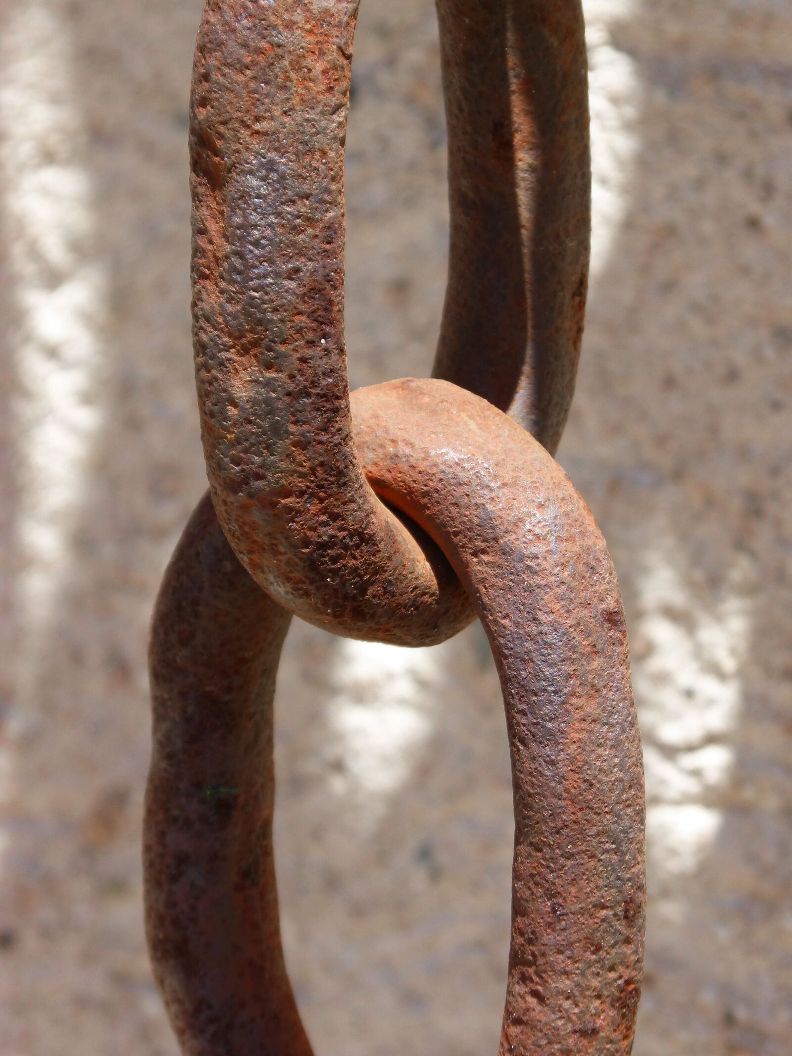 Panasonic DMC-FZ62 sample photo. String, link, union photography