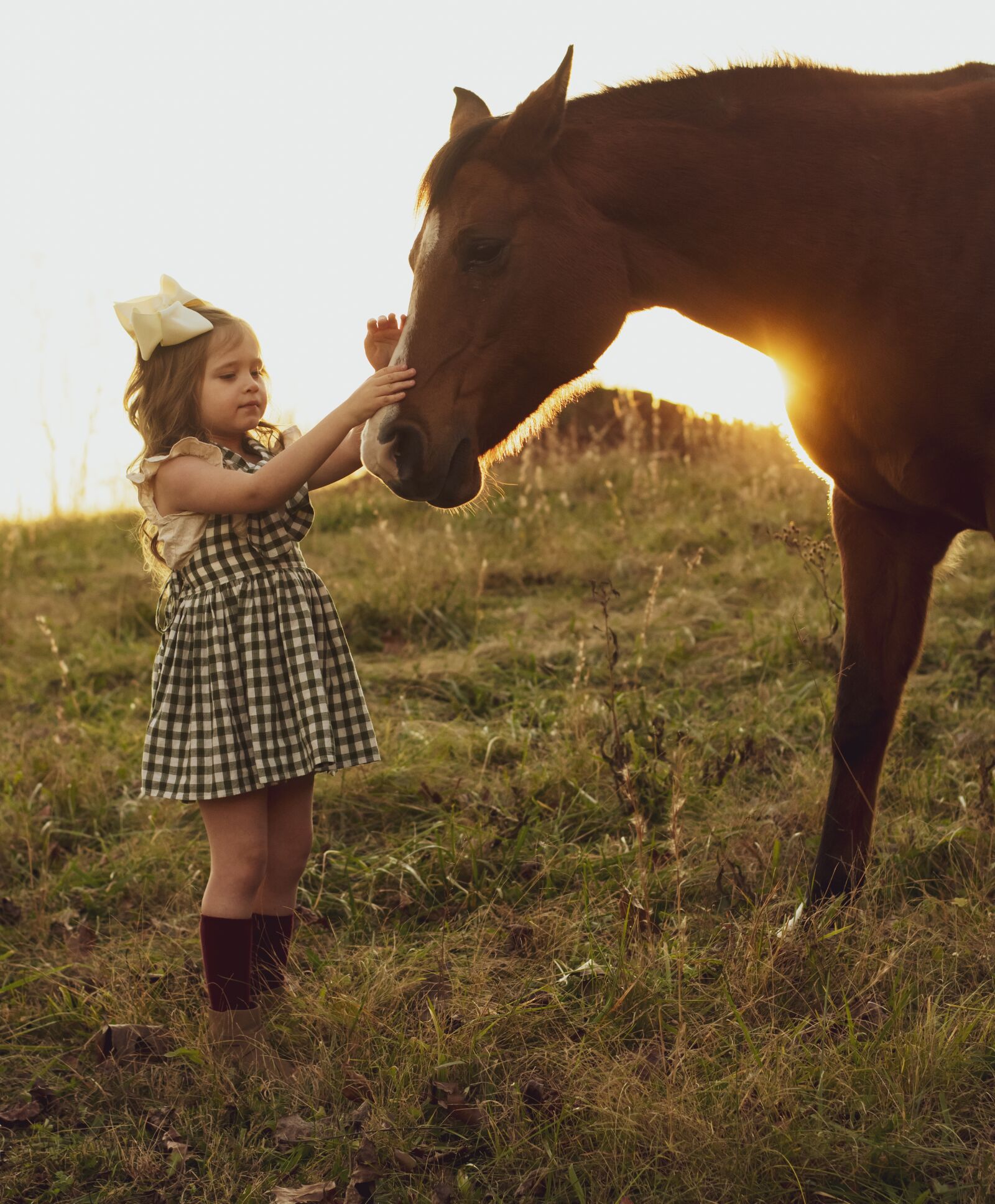 Nikon D3400 sample photo. Horse, sunset, girl photography