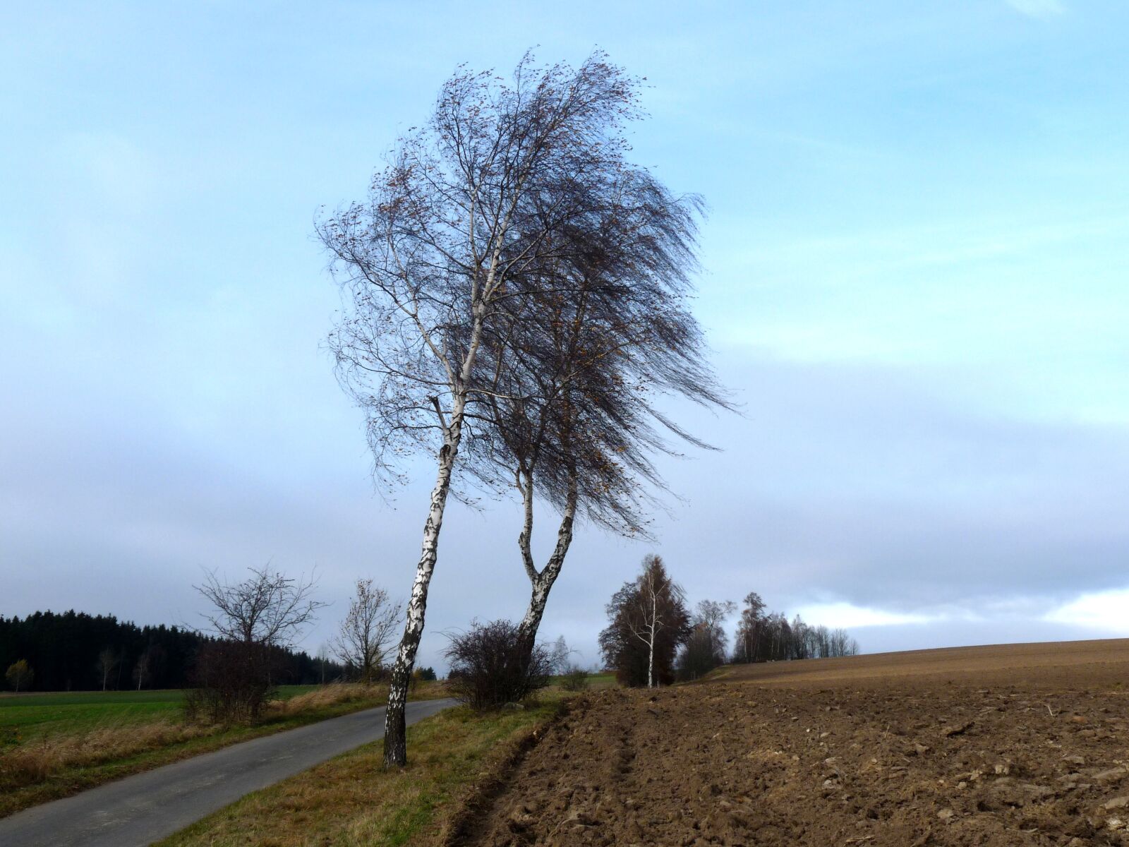 Panasonic Lumix DMC-FZ28 sample photo. Fichtelgebirge, thier home, gallows photography