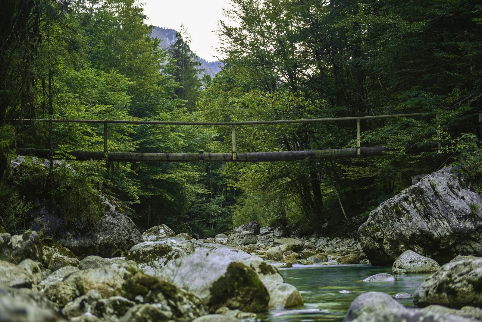 Nikon D750 sample photo. Water, inject, forest photography