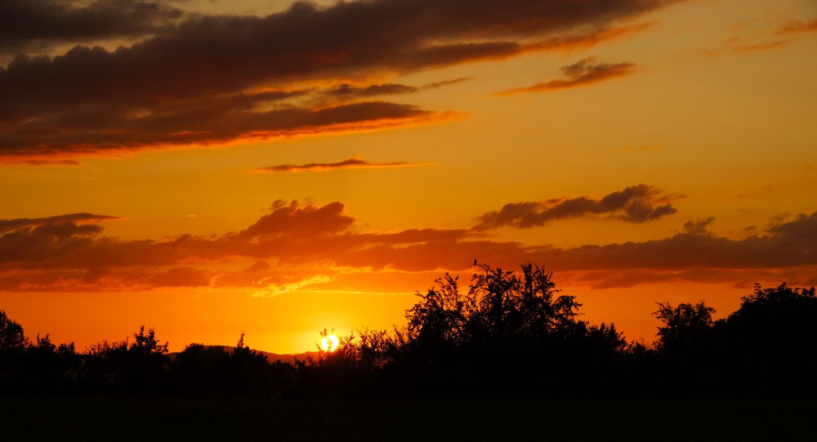 Fujifilm X-T10 sample photo. Sunset, sun, setting sun photography
