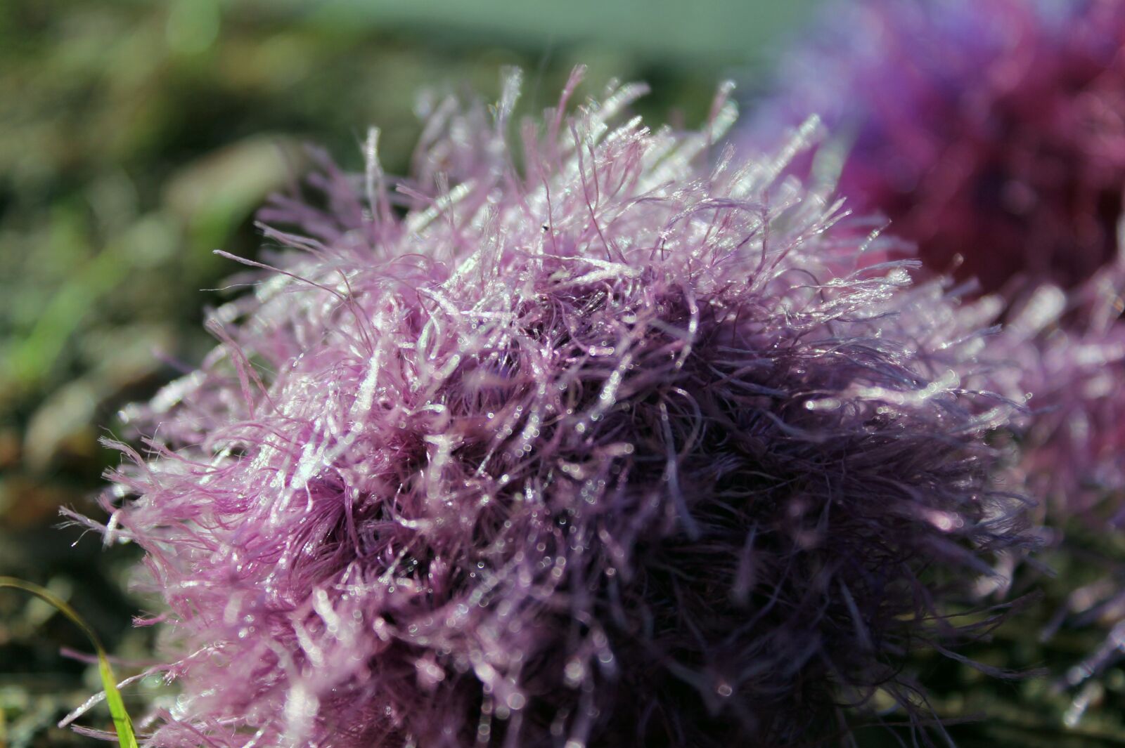 Canon EOS 1100D (EOS Rebel T3 / EOS Kiss X50) sample photo. Fringed wool, fibers, threads photography